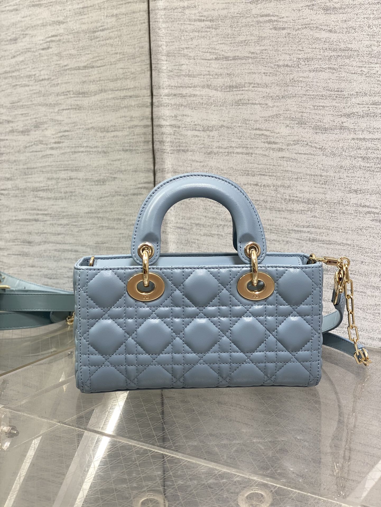 BAG-DIOR-W-LY-017