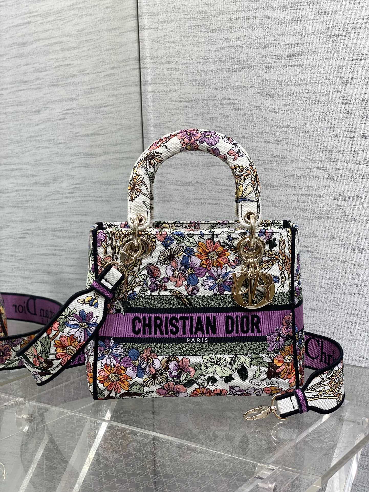 BAG-DIOR-W-LY-073
