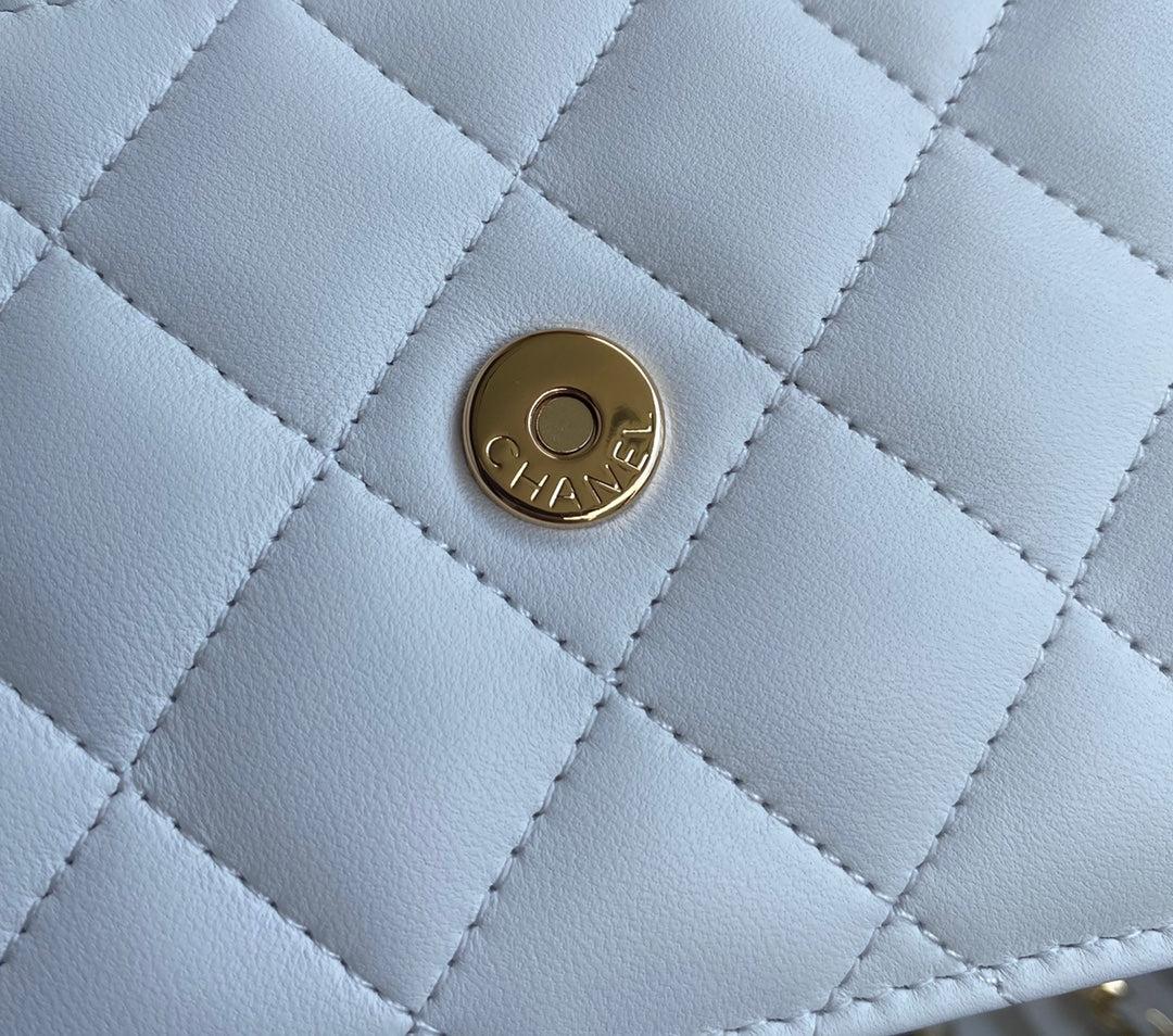 BAG-CHANEL-519