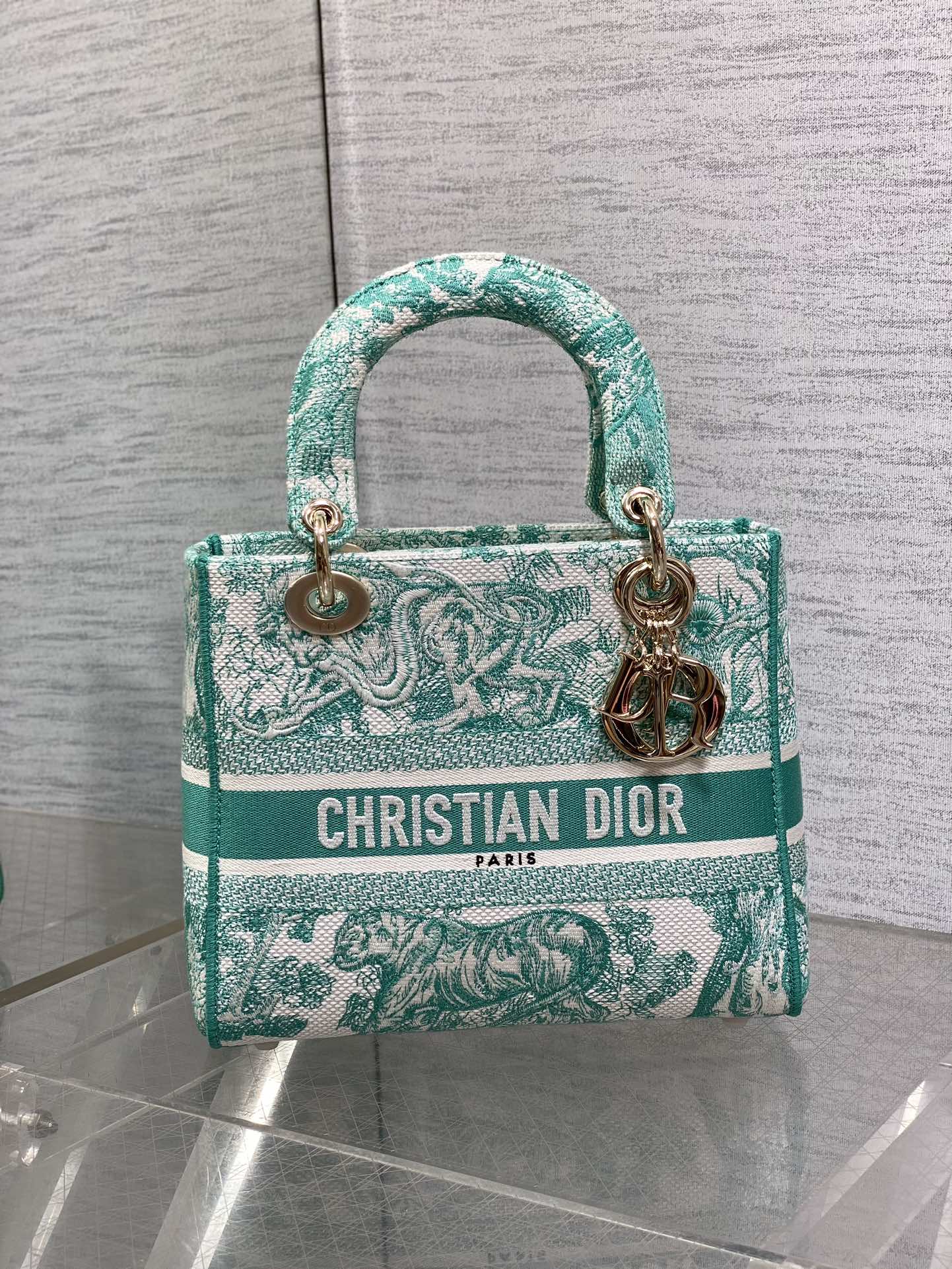 BAG-DIOR-W-LY-070
