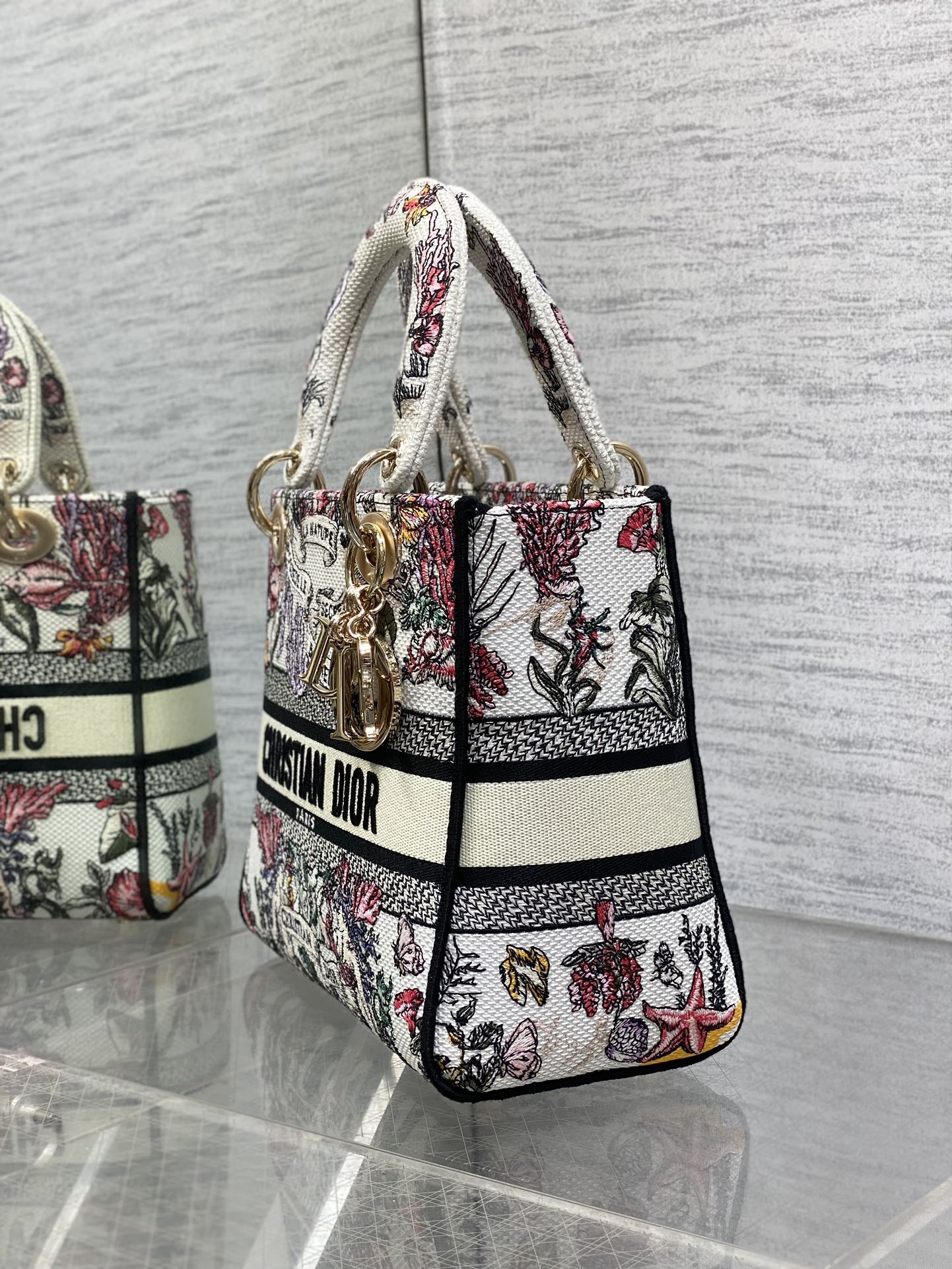 BAG-DIOR-W-LY-512