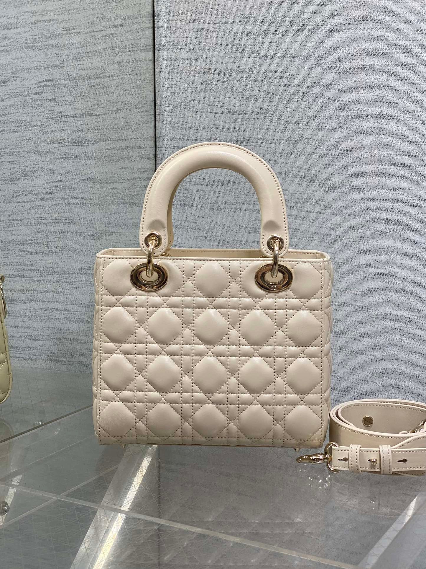 BAG-DIOR-W-LY-735