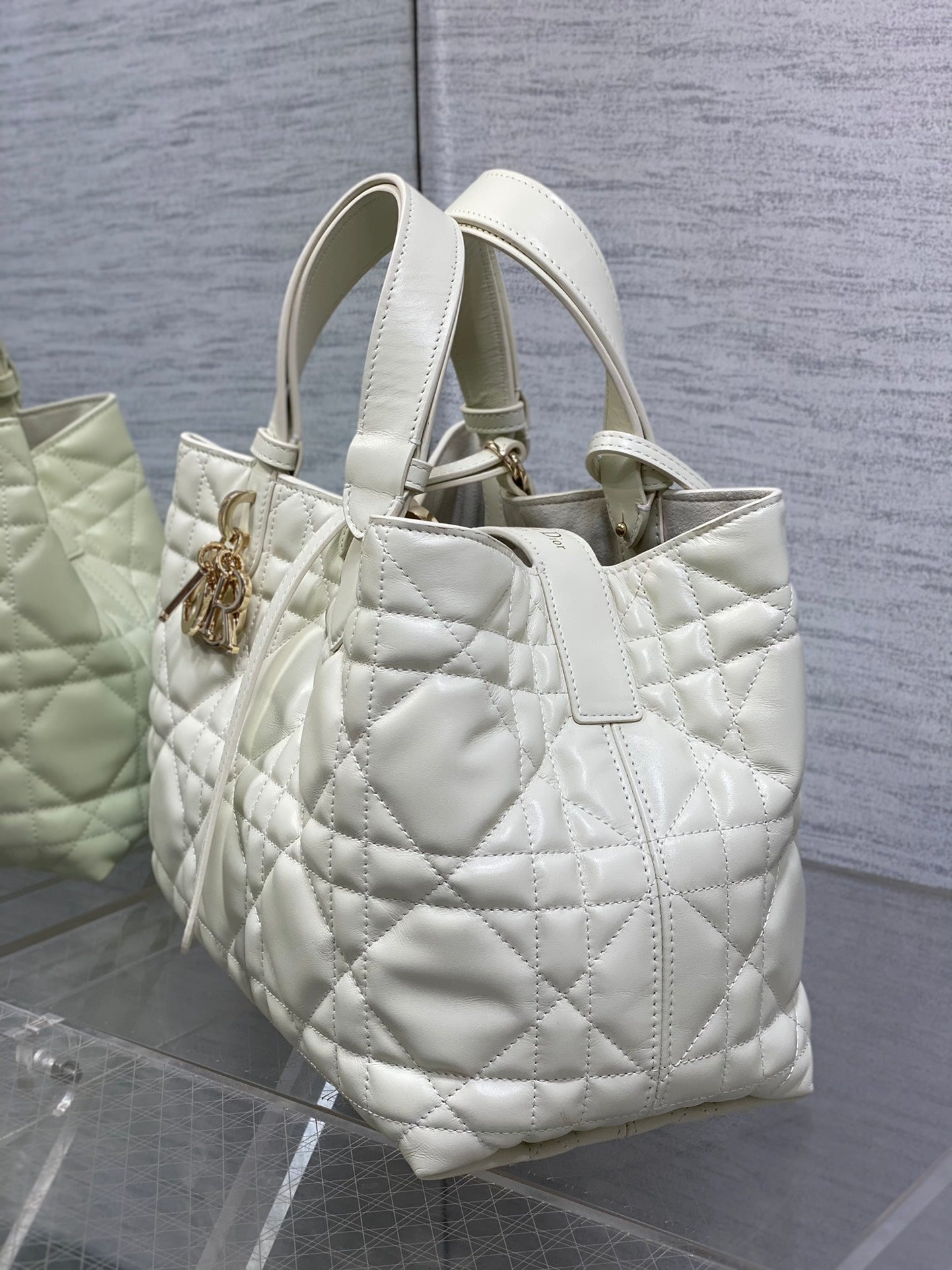 BAG-DIOR-W-LY-054