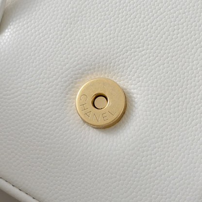 BAG-CHANEL-029