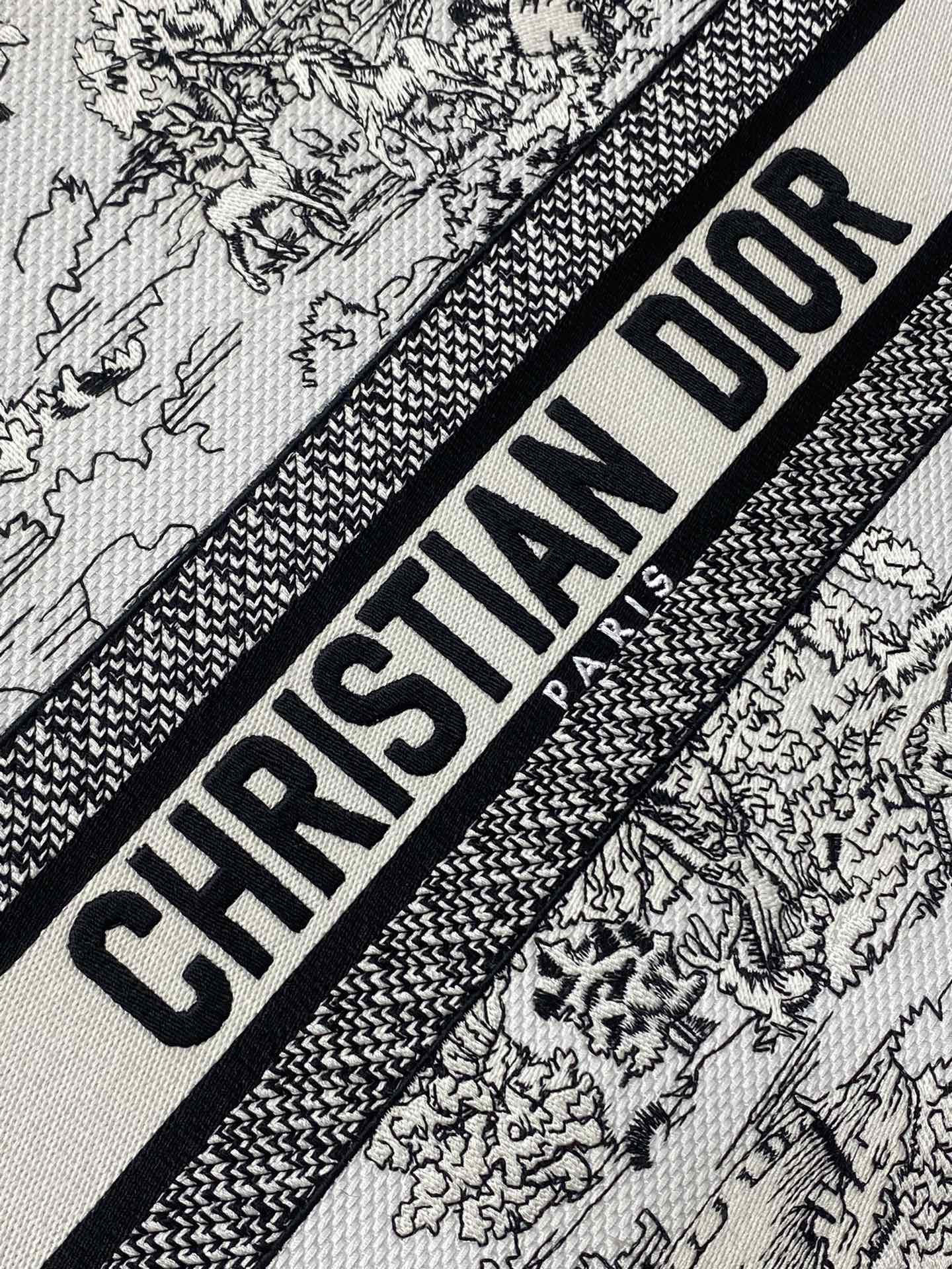 BAG-DIOR-W-LY-864