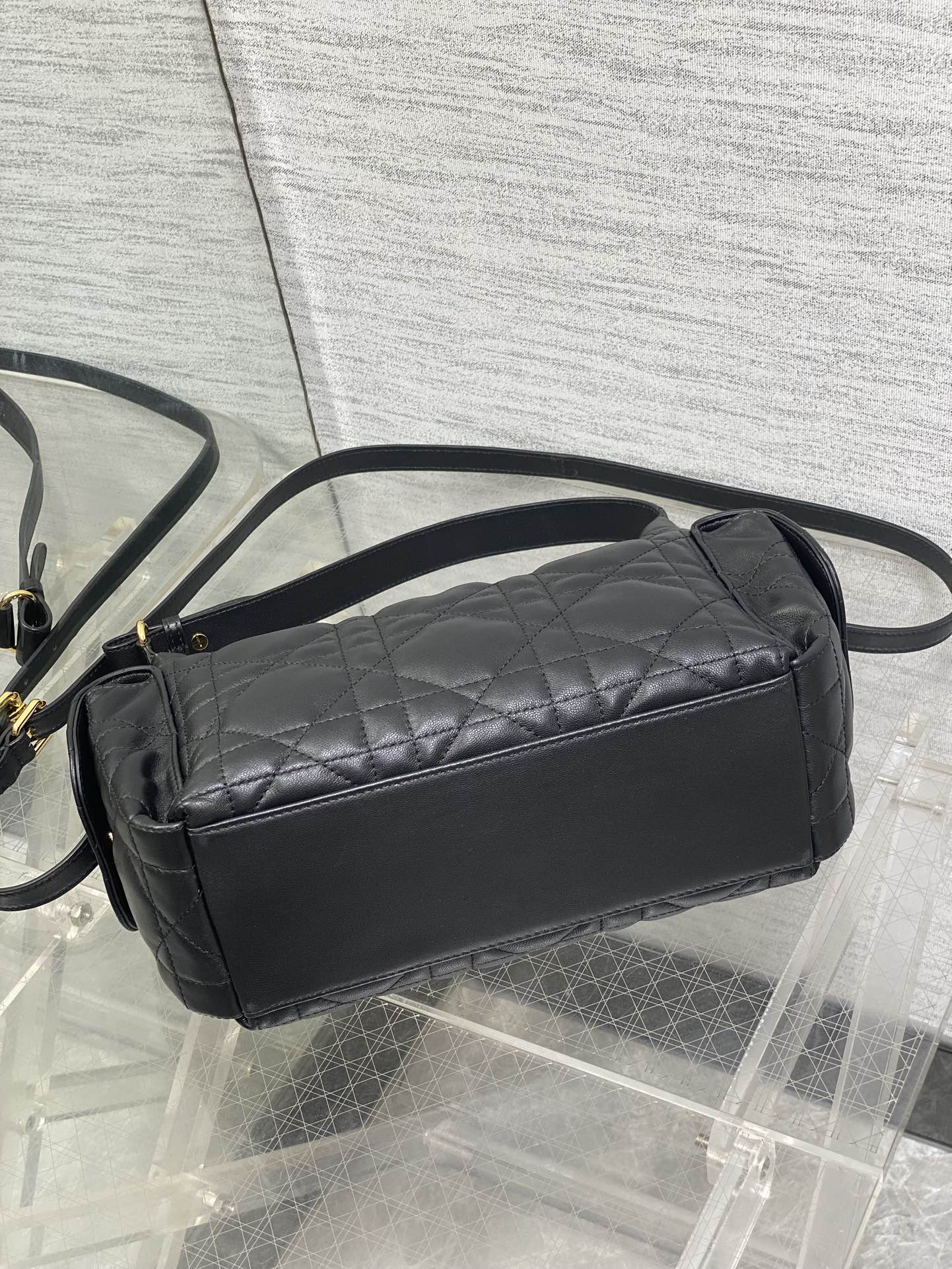 BAG-DIOR-W-LY-050