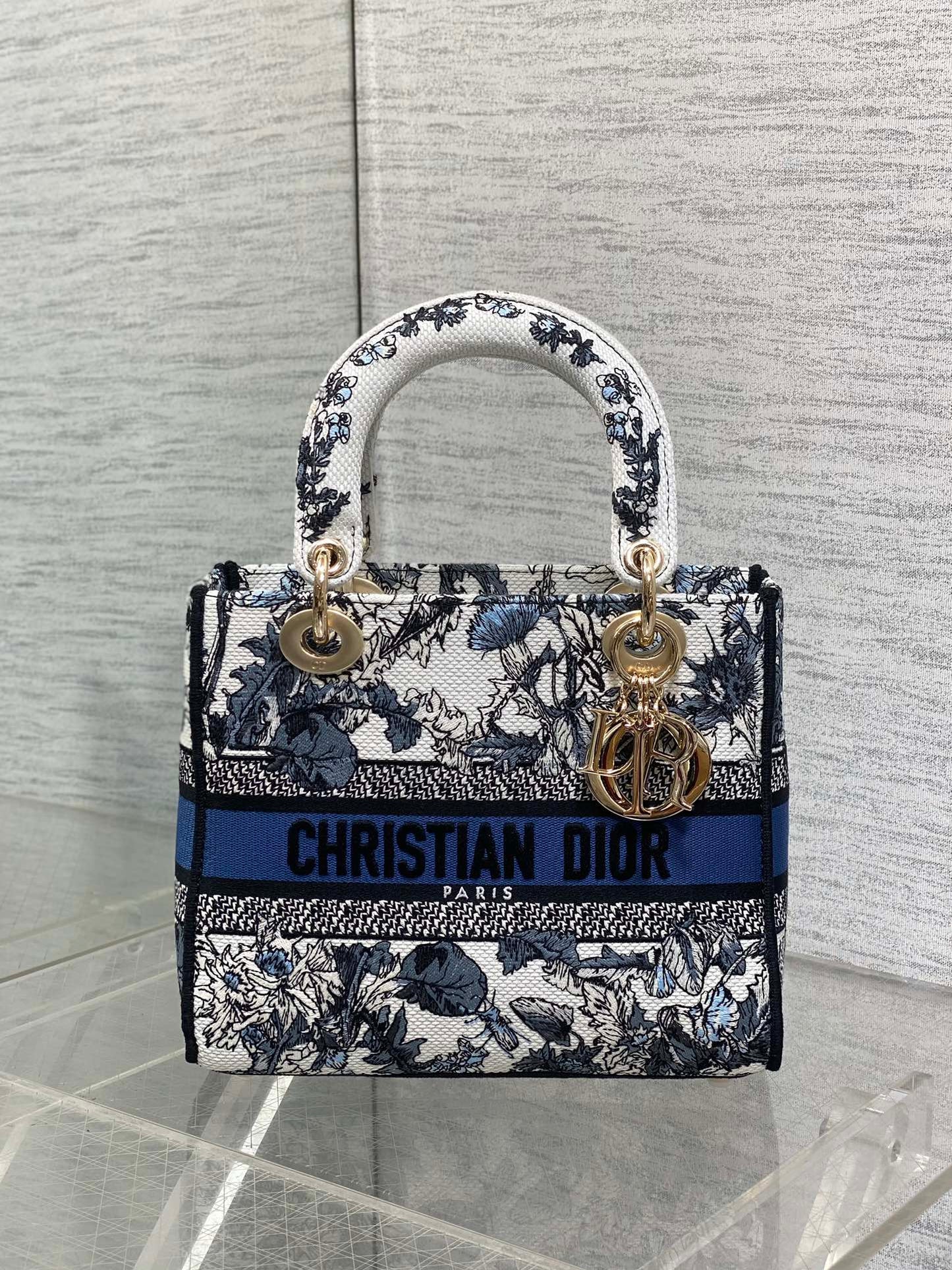 BAG-DIOR-W-LY-076