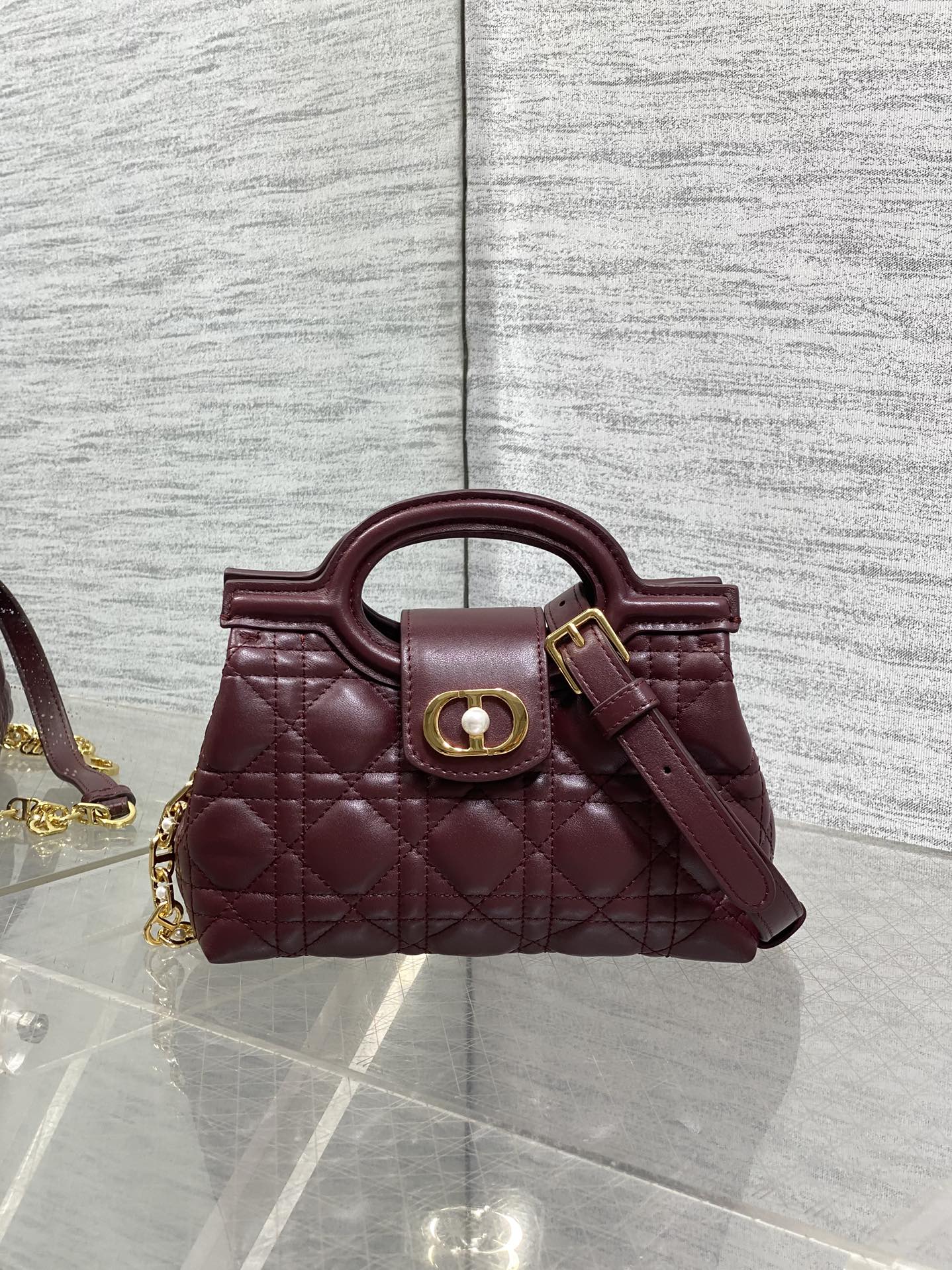 BAG-DIOR-W-LY-022