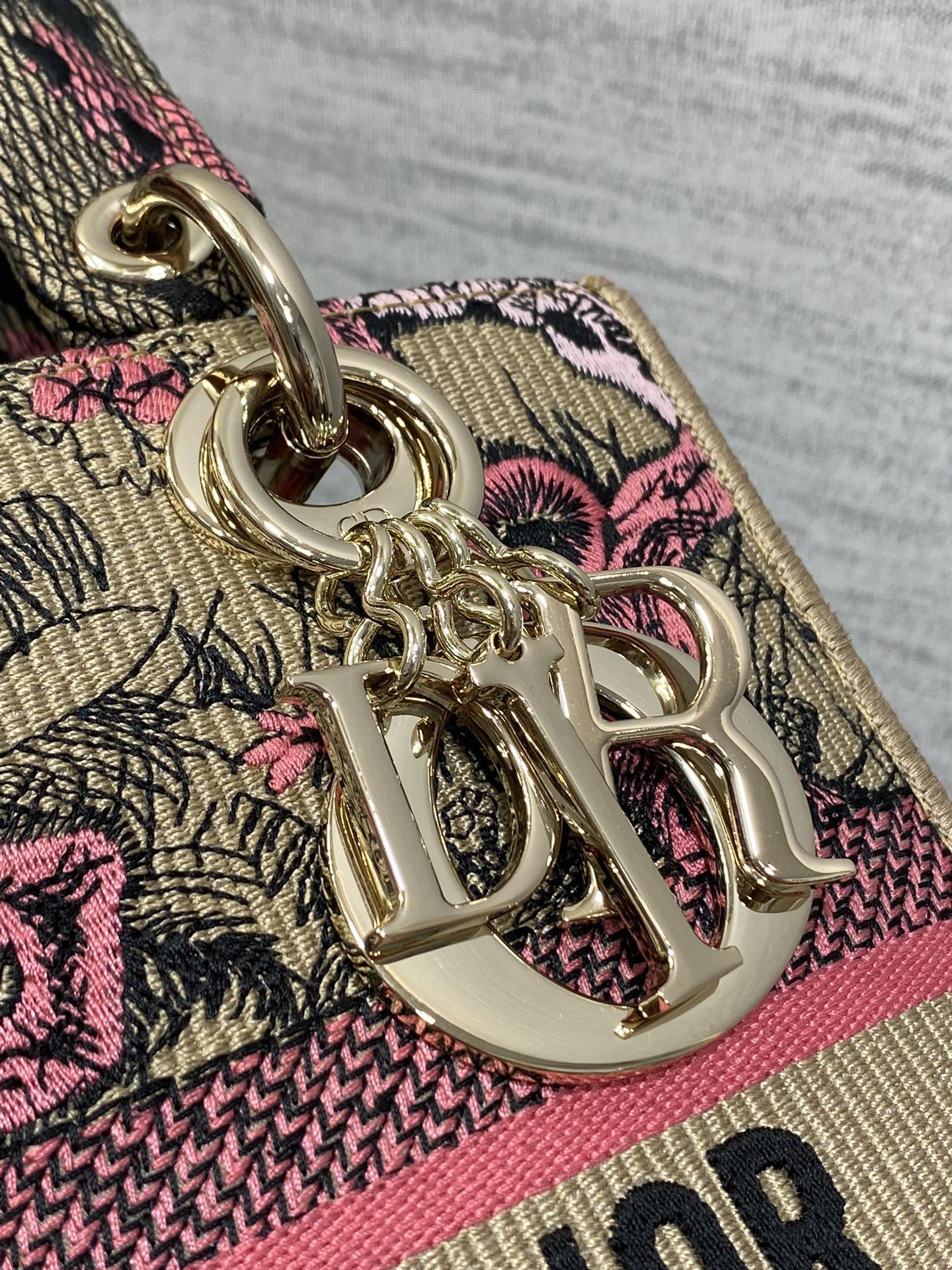 BAG-DIOR-W-LY-071