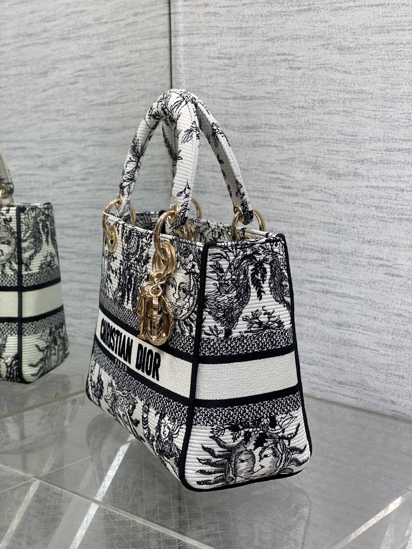 BAG-DIOR-W-LY-445