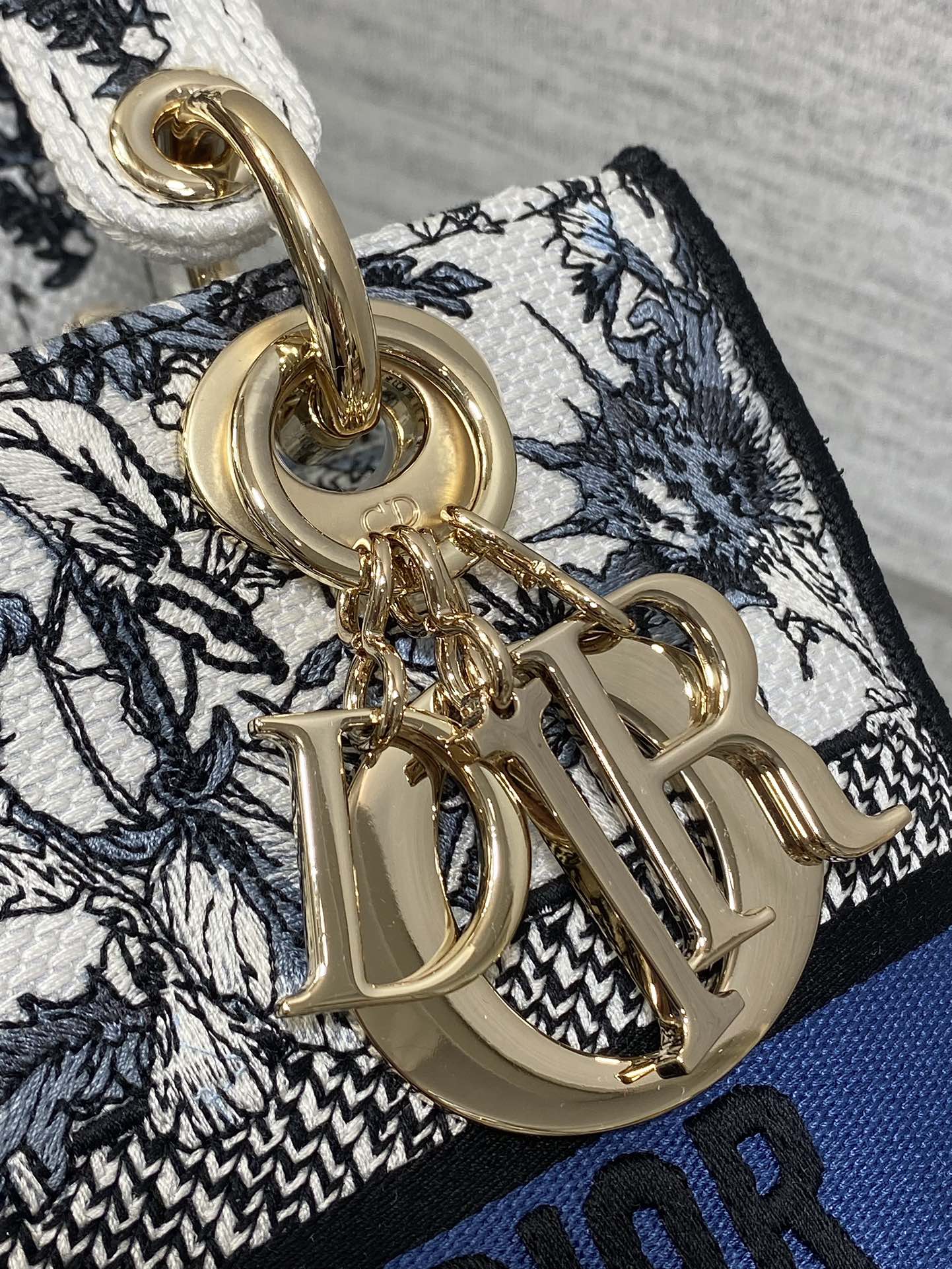 BAG-DIOR-W-LY-076