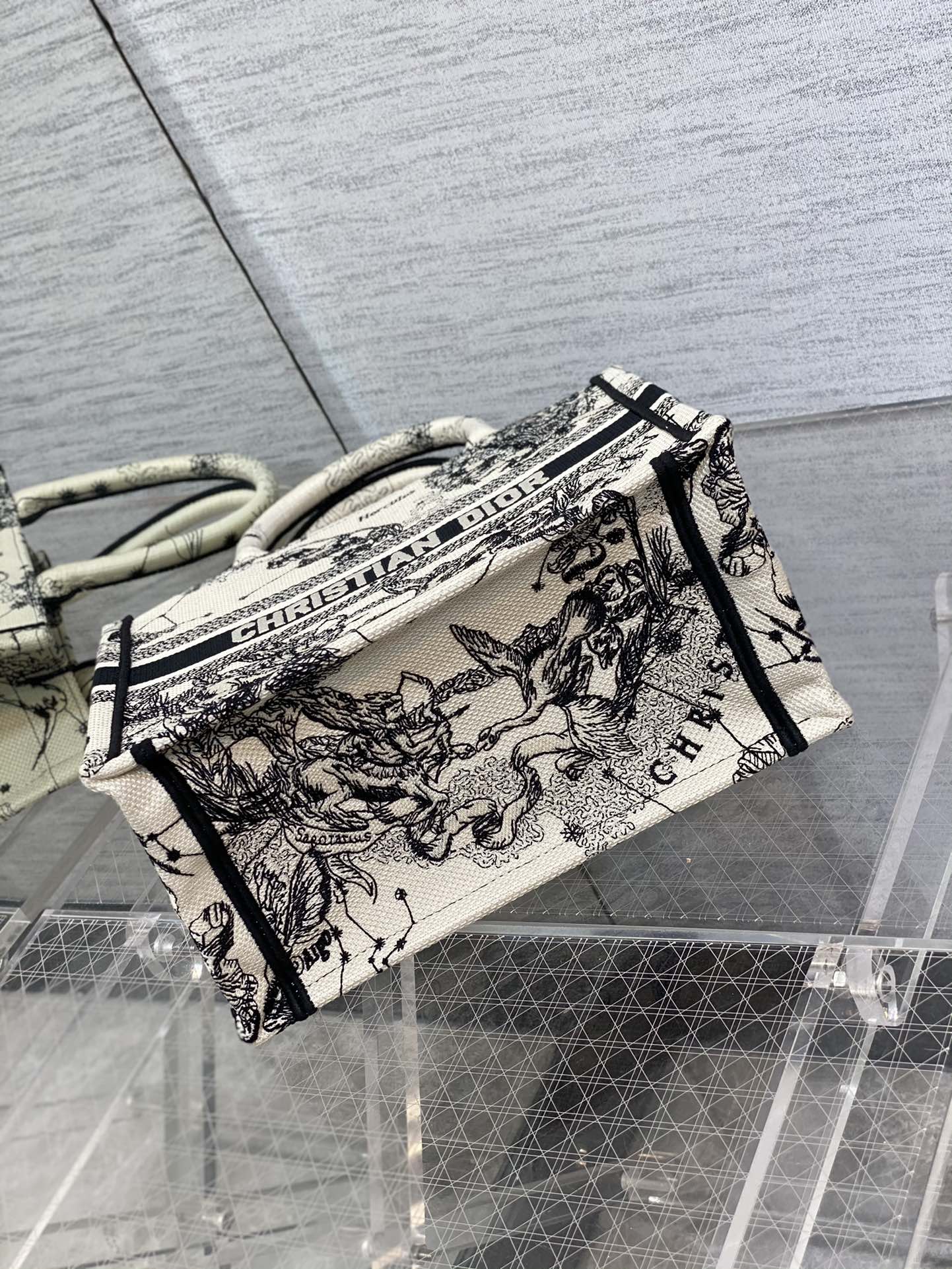 BAG-DIOR-W-LY-901