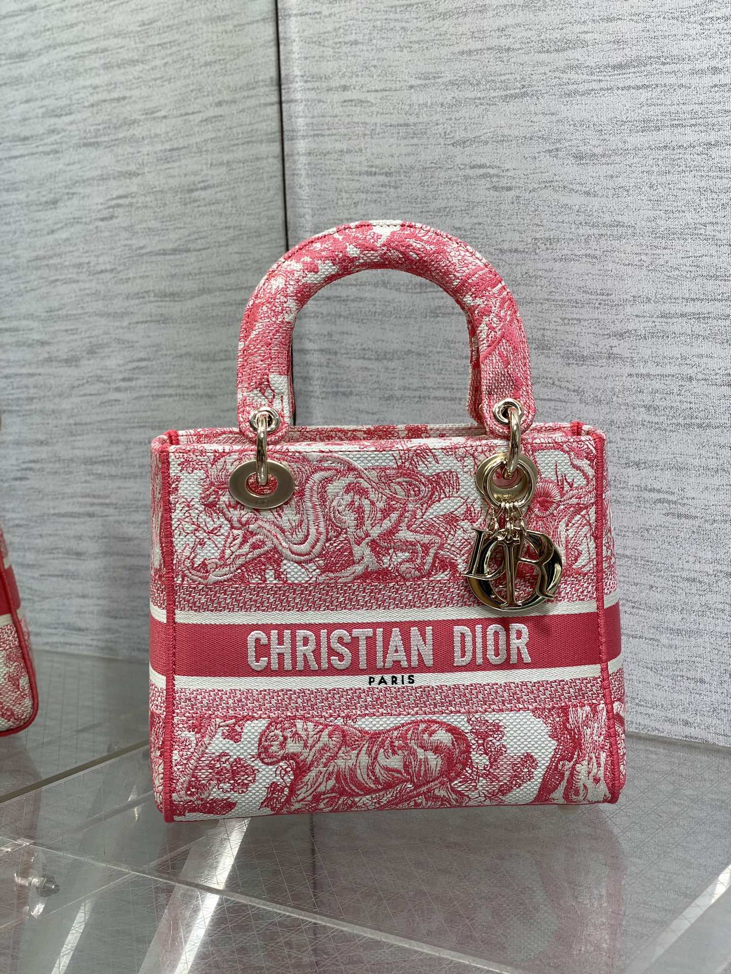 BAG-DIOR-W-LY-069