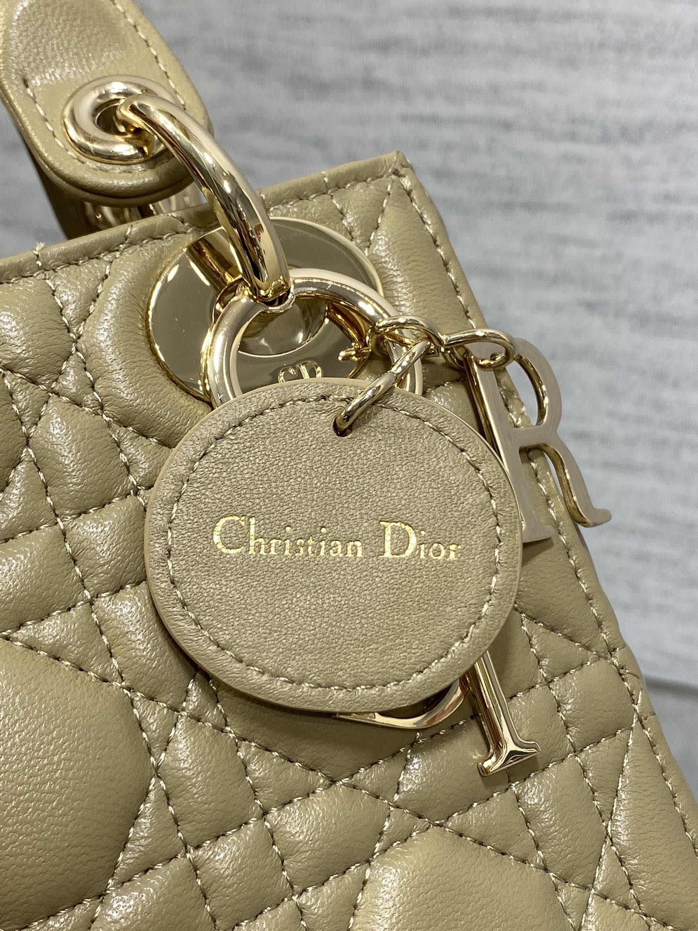 BAG-DIOR-W-LY-748