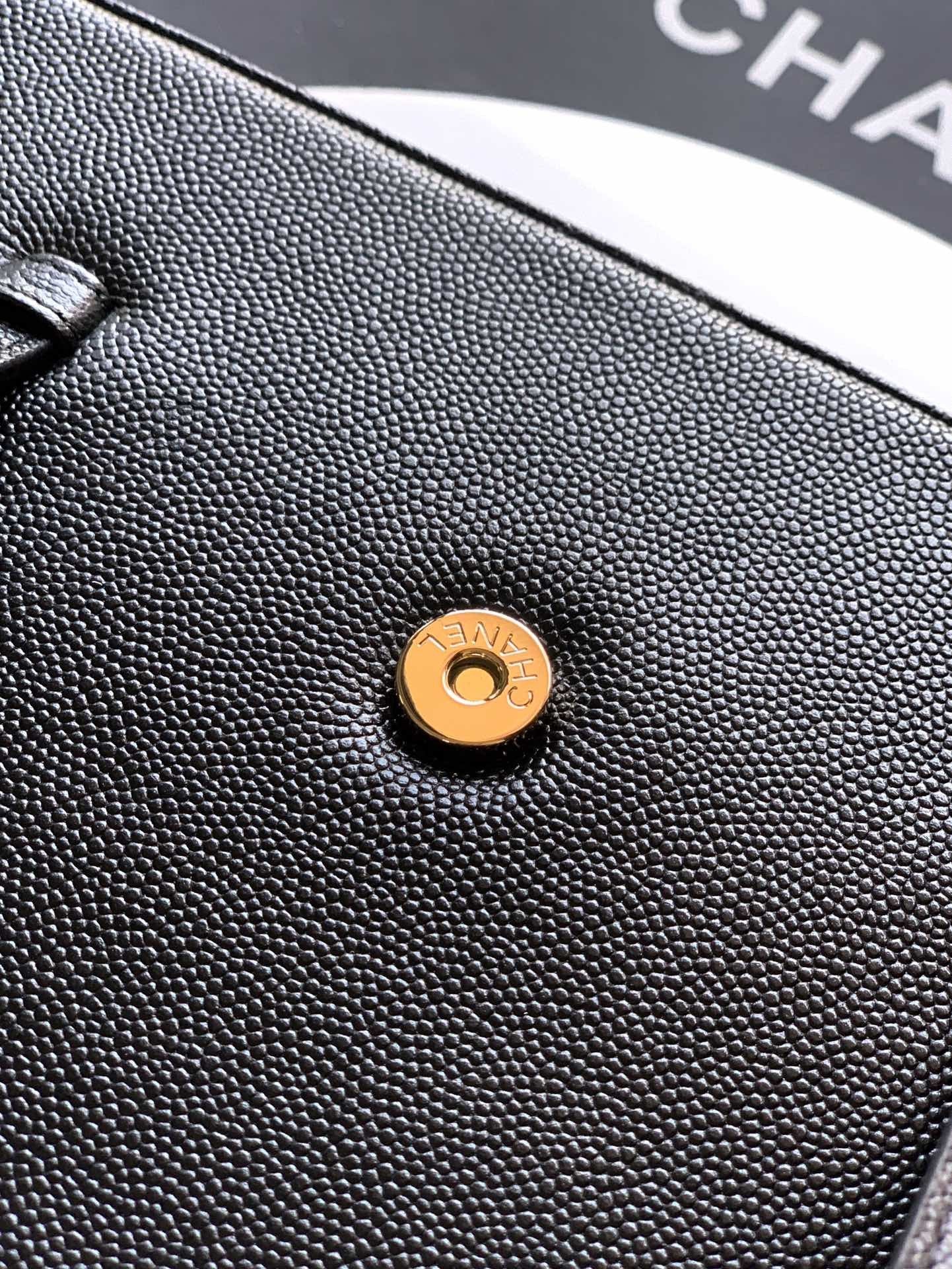 BAG-CHANEL-021