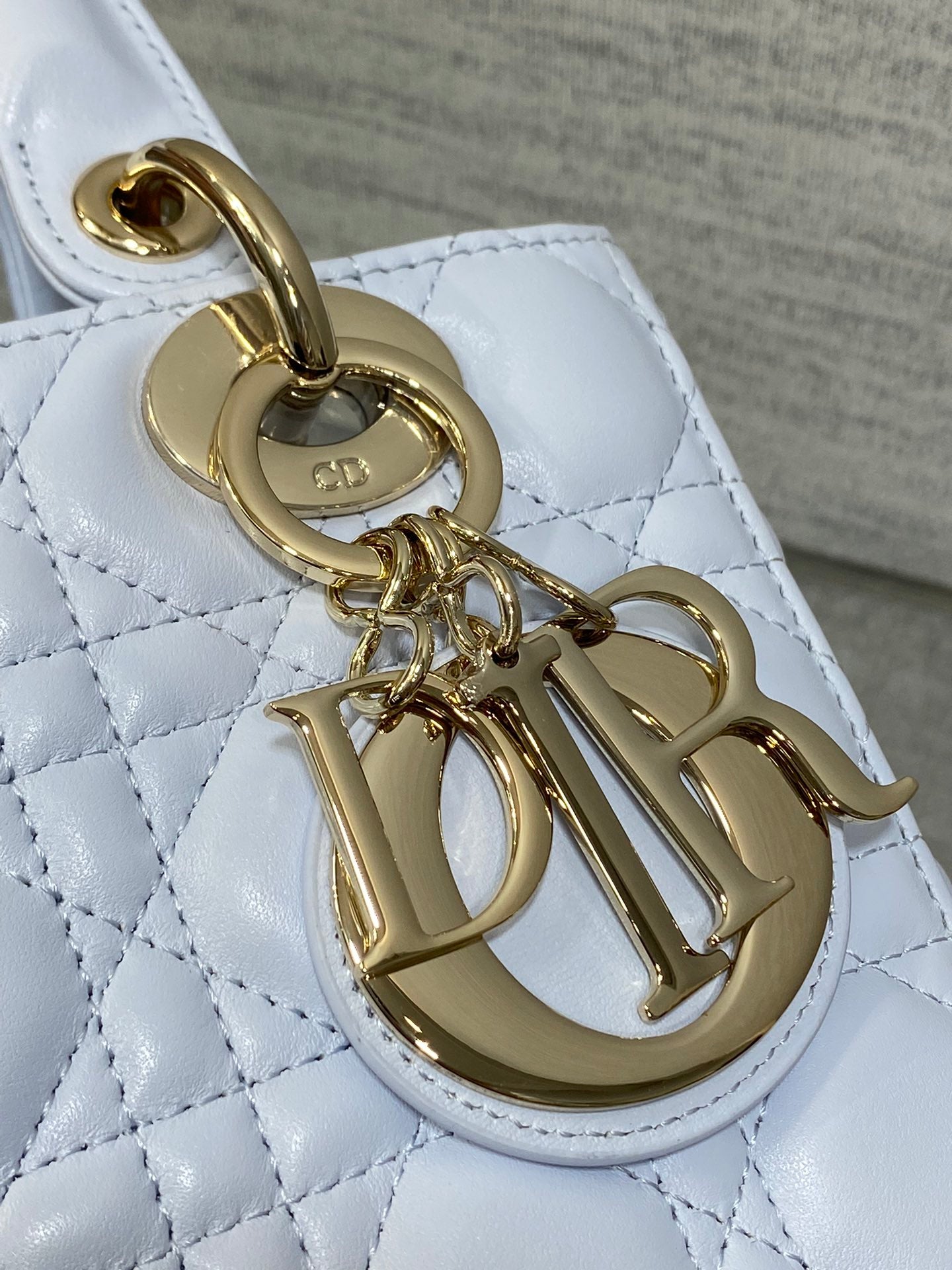 BAG-DIOR-W-LY-700