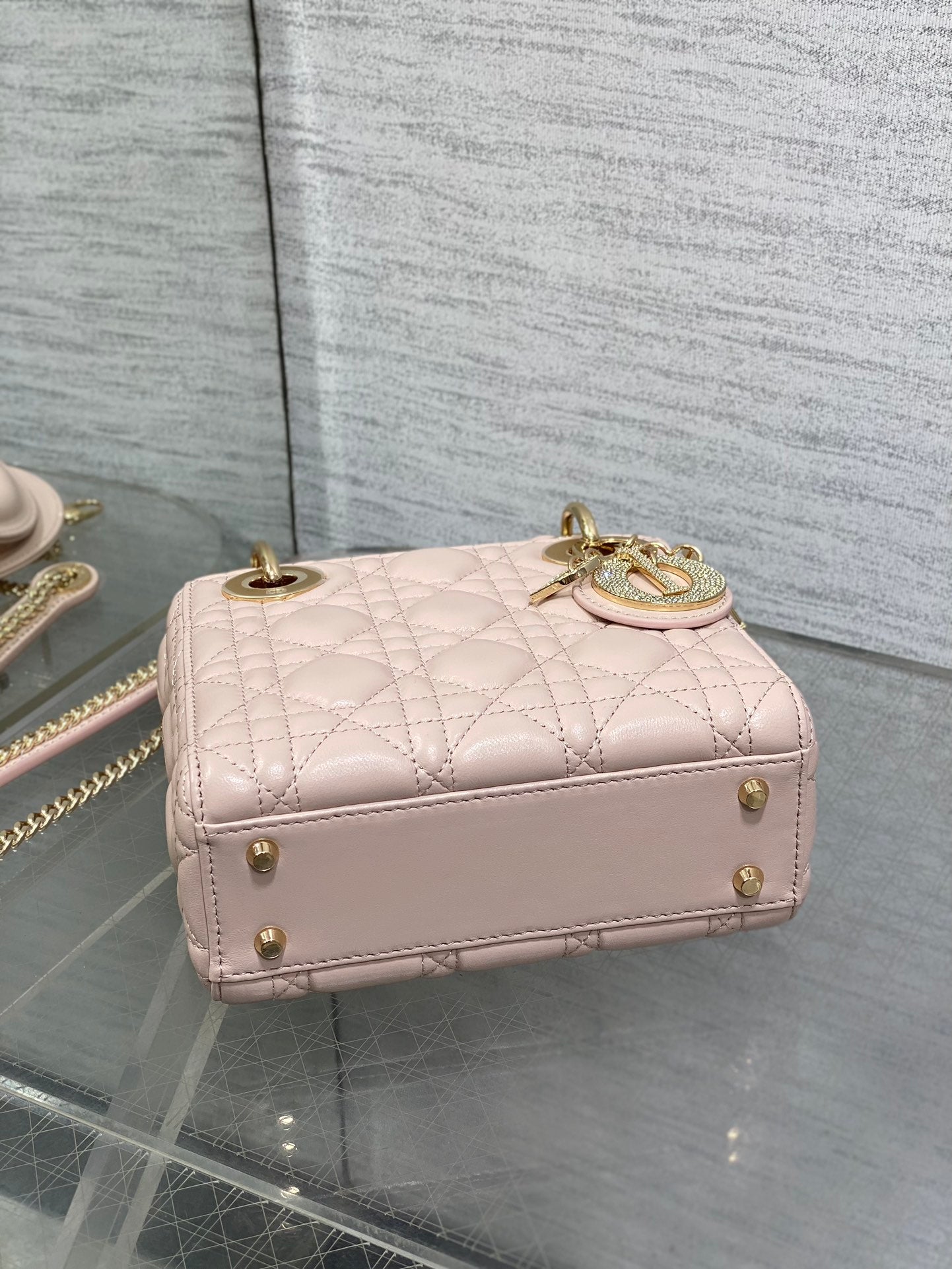 BAG-DIOR-W-LY-741
