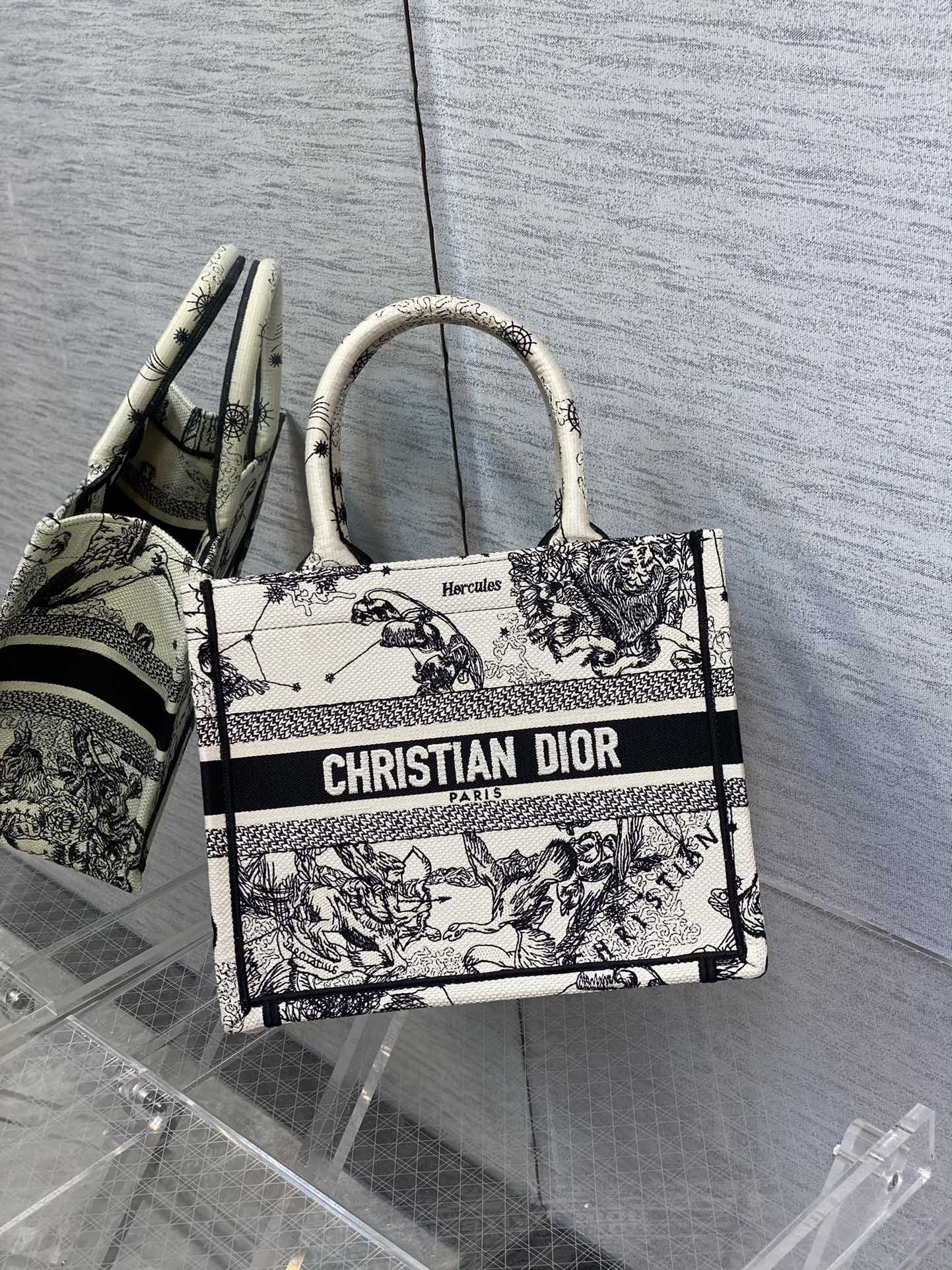 BAG-DIOR-W-LY-901