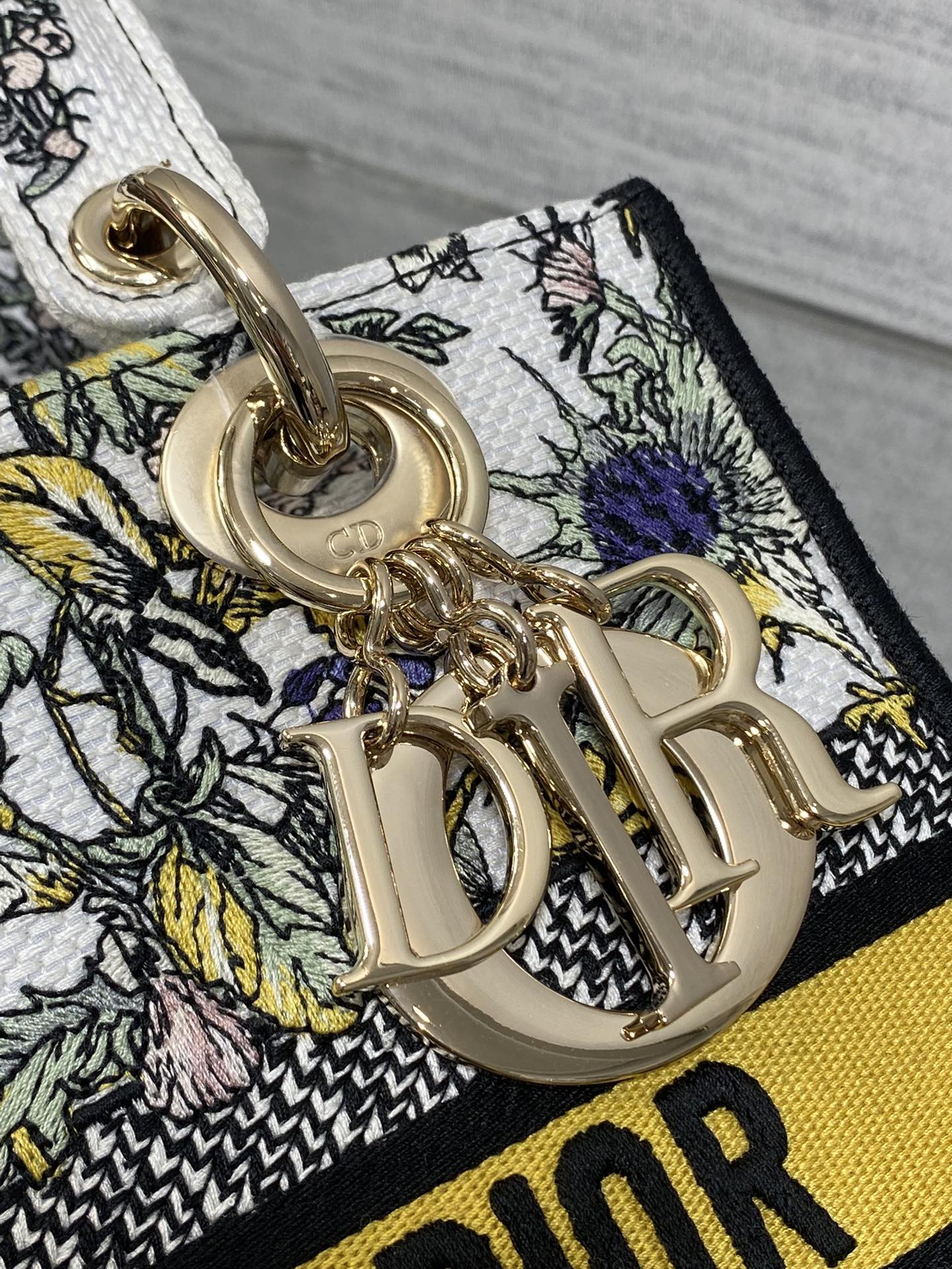 BAG-DIOR-W-LY-077