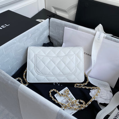 BAG-CHANEL-519
