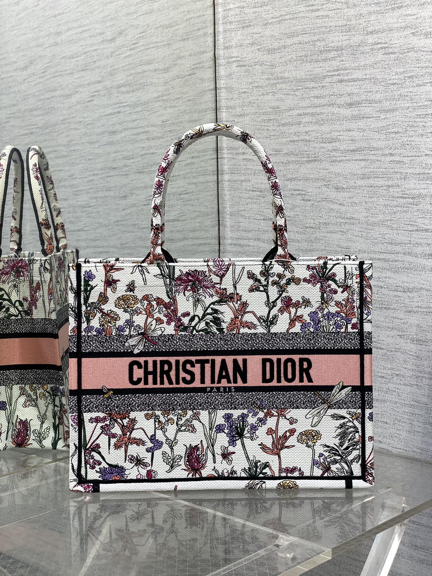BAG-DIOR-W-LY-198