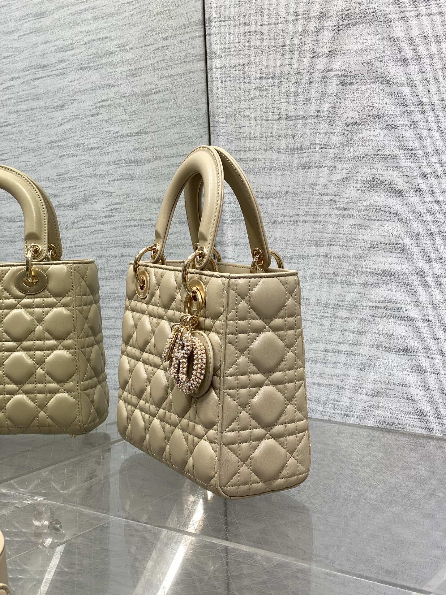 BAG-DIOR-W-LY-737