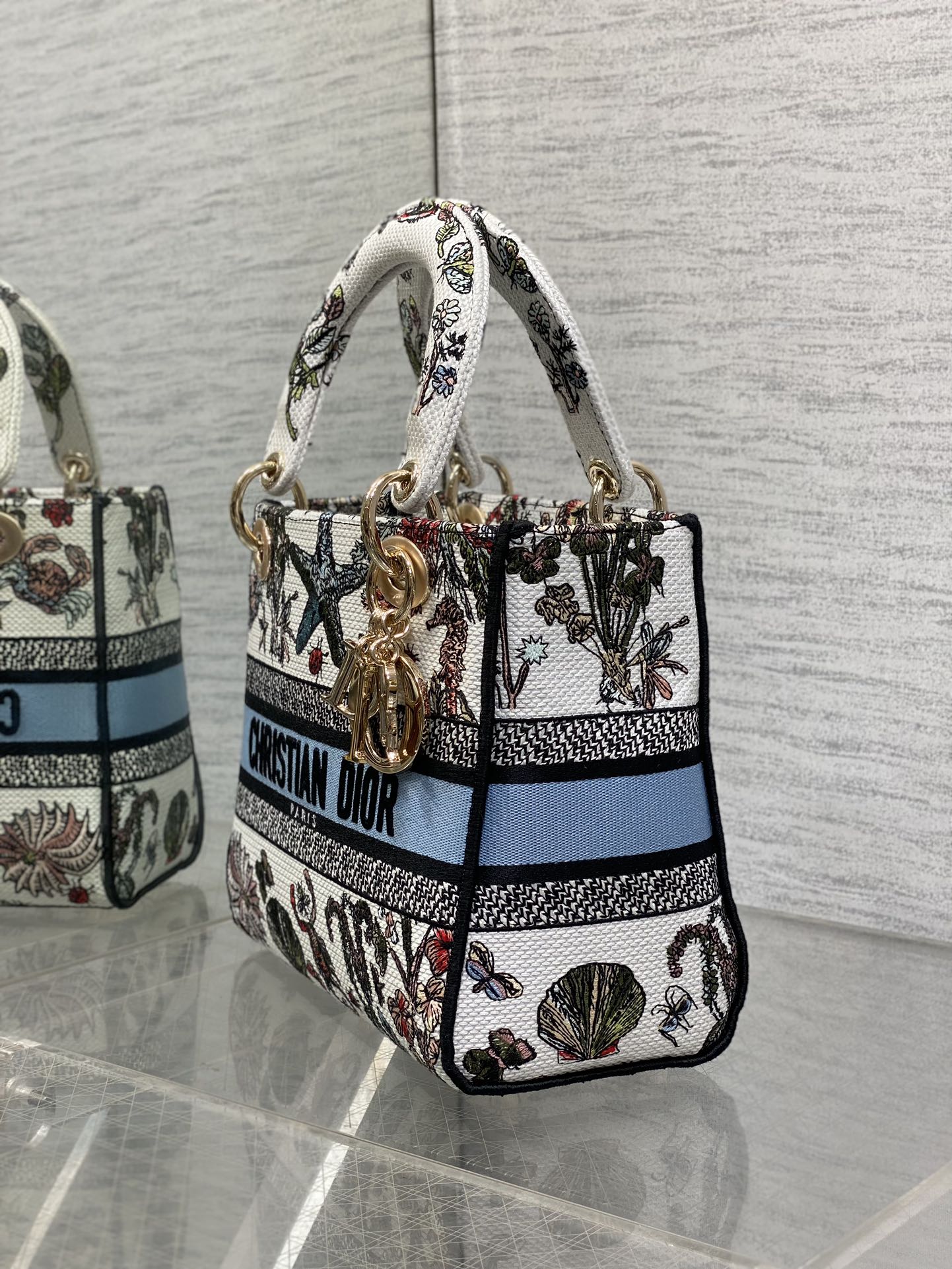 BAG-DIOR-W-LY-074
