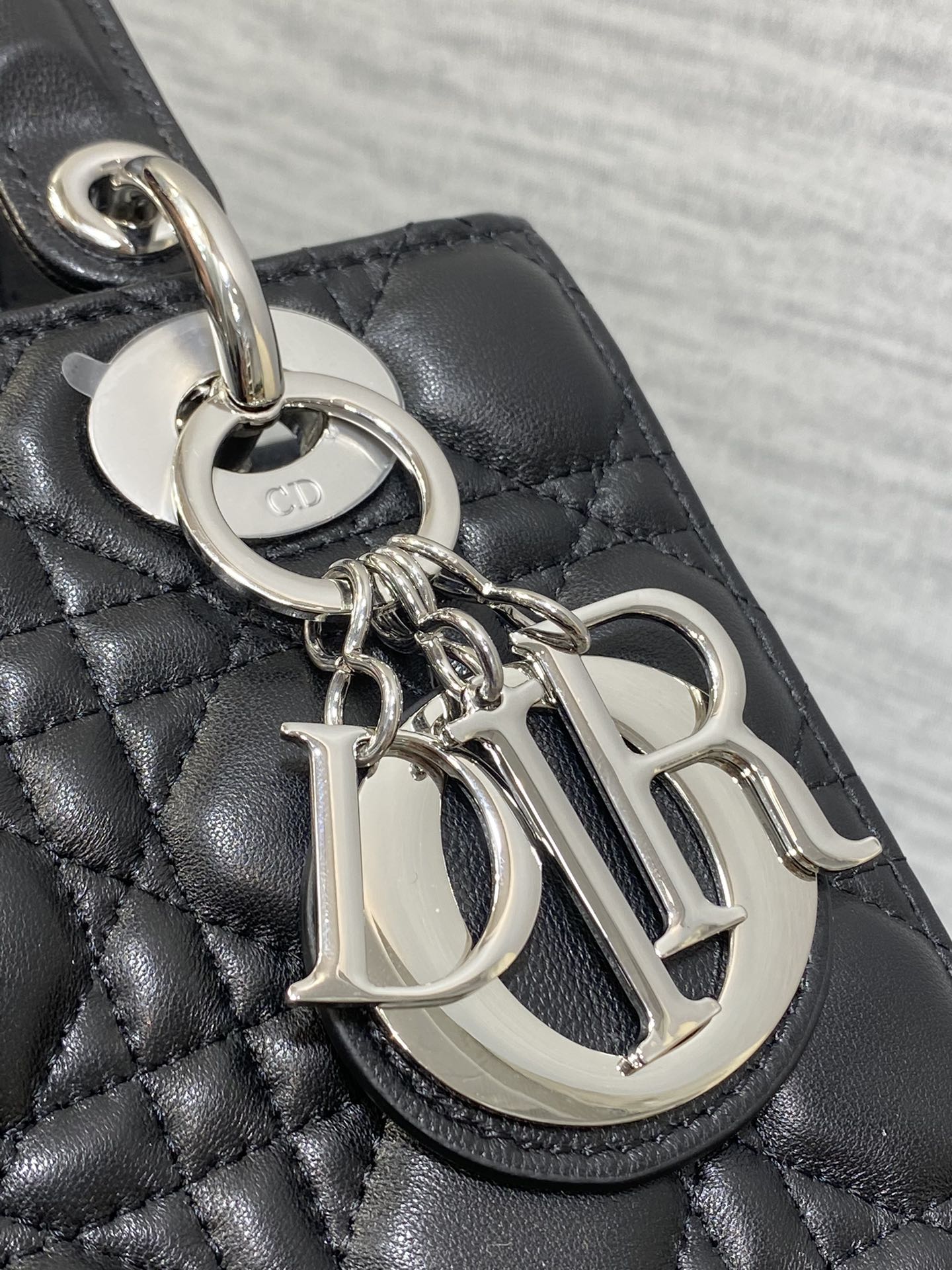 BAG-DIOR-W-LY-695