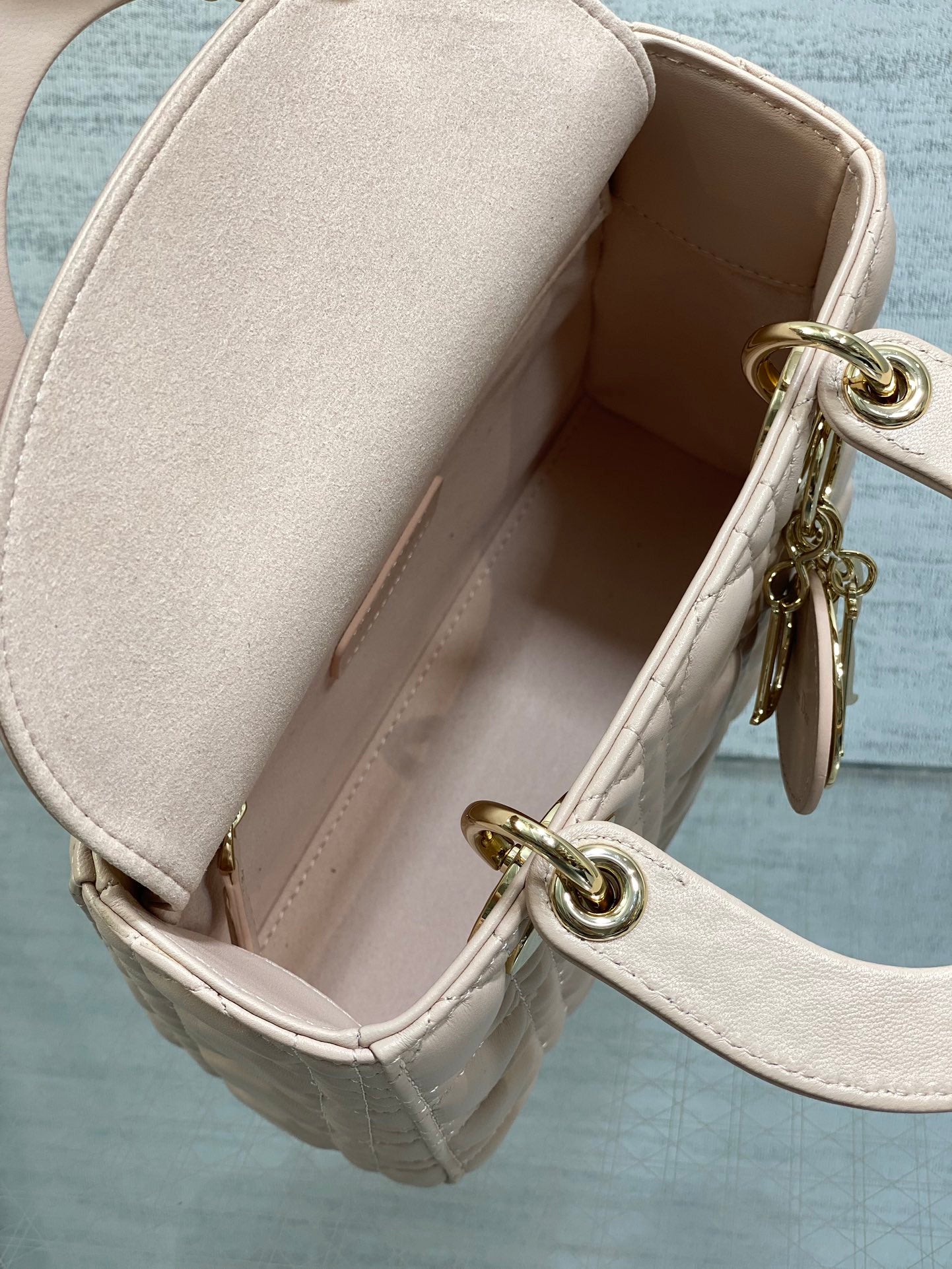 BAG-DIOR-W-LY-767