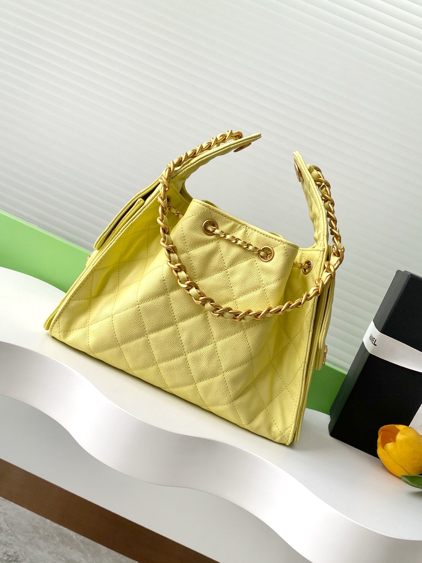 BAG-CHANEL-230