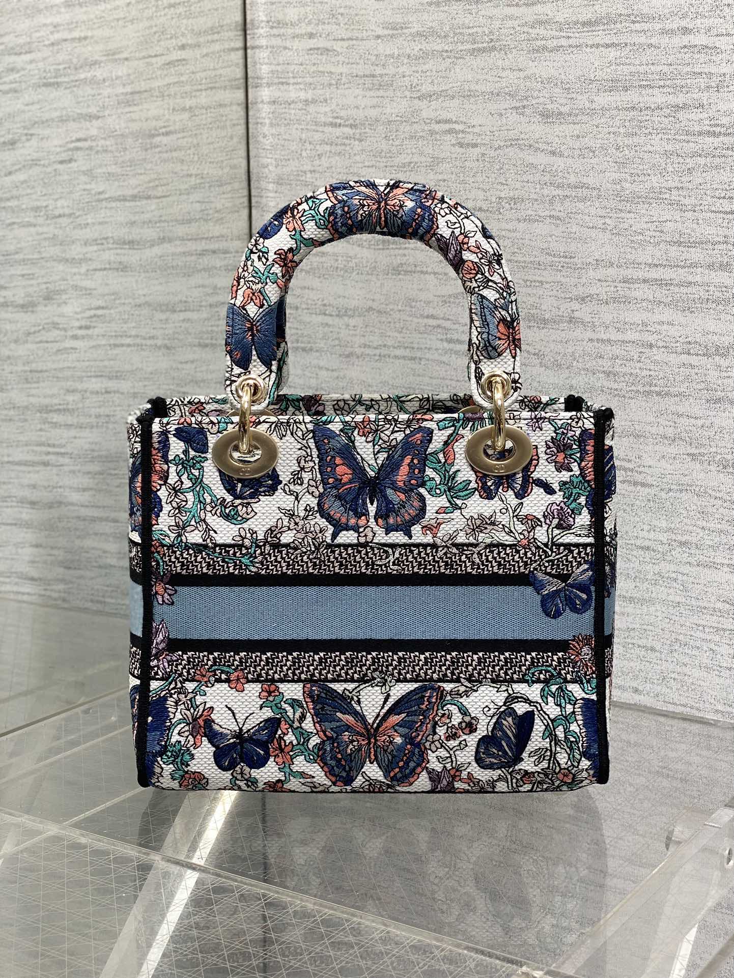 BAG-DIOR-W-LY-505