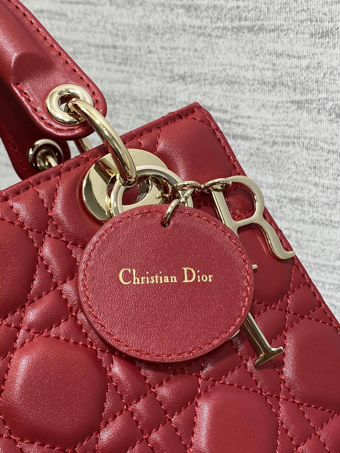 BAG-DIOR-W-LY-666