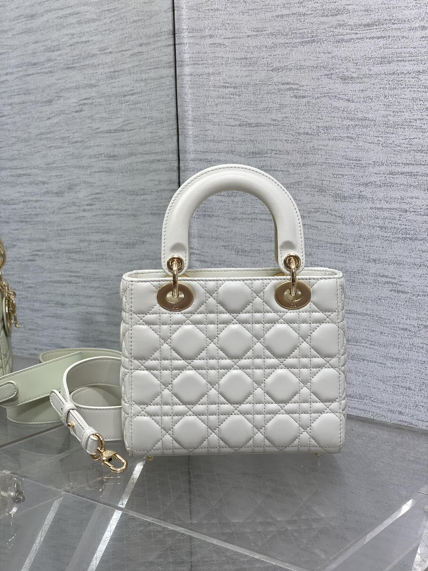 BAG-DIOR-W-LY-162