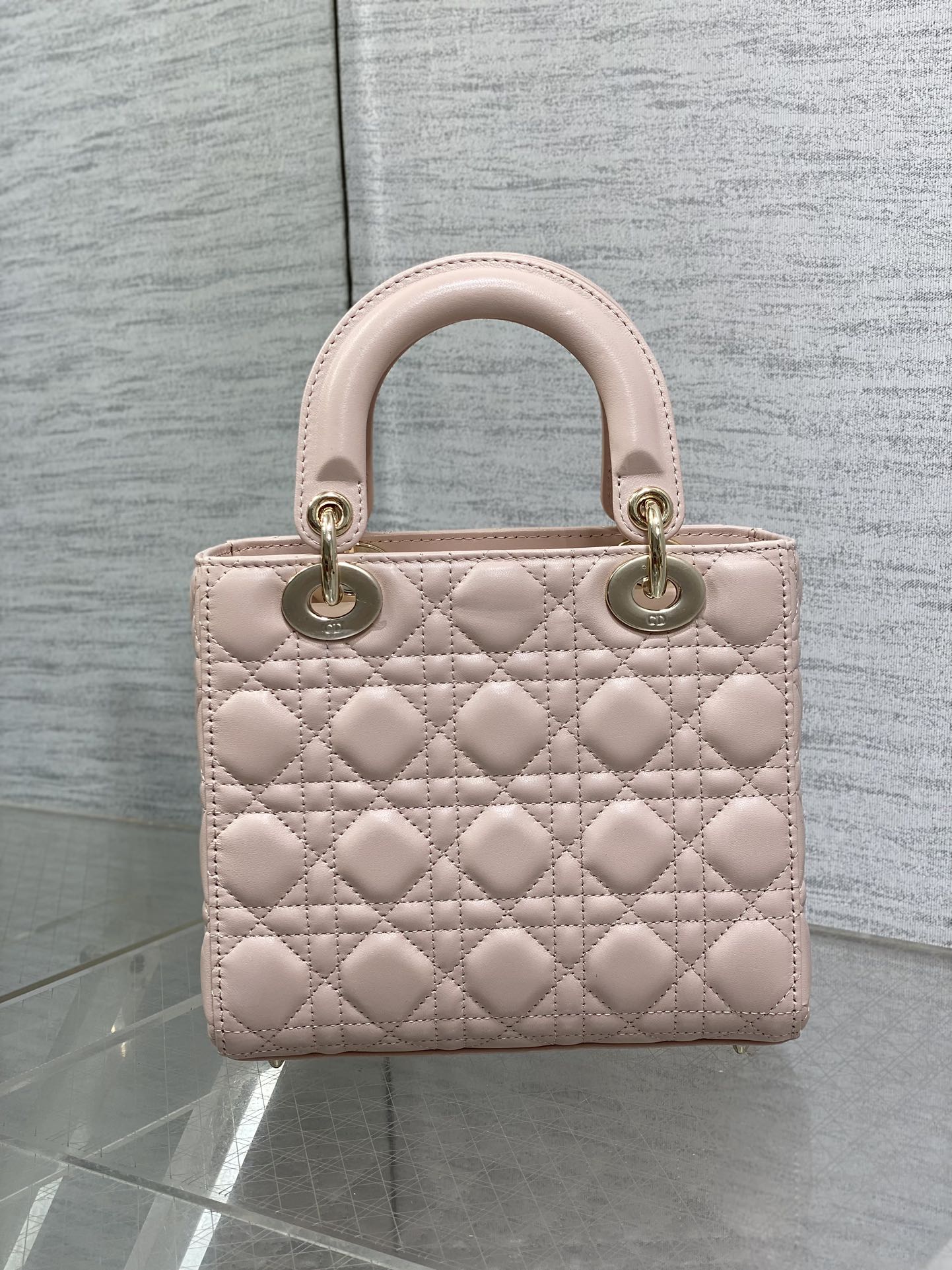 BAG-DIOR-W-LY-165