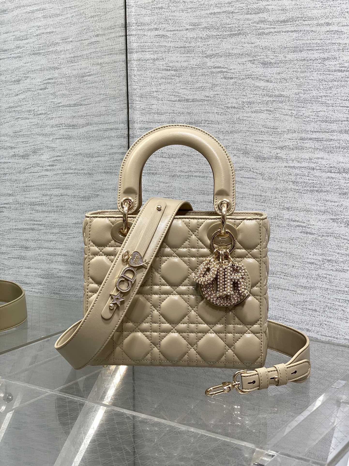 BAG-DIOR-W-LY-737