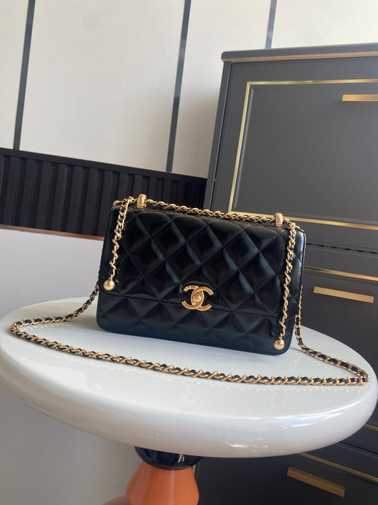 BAG-CHANEL-194