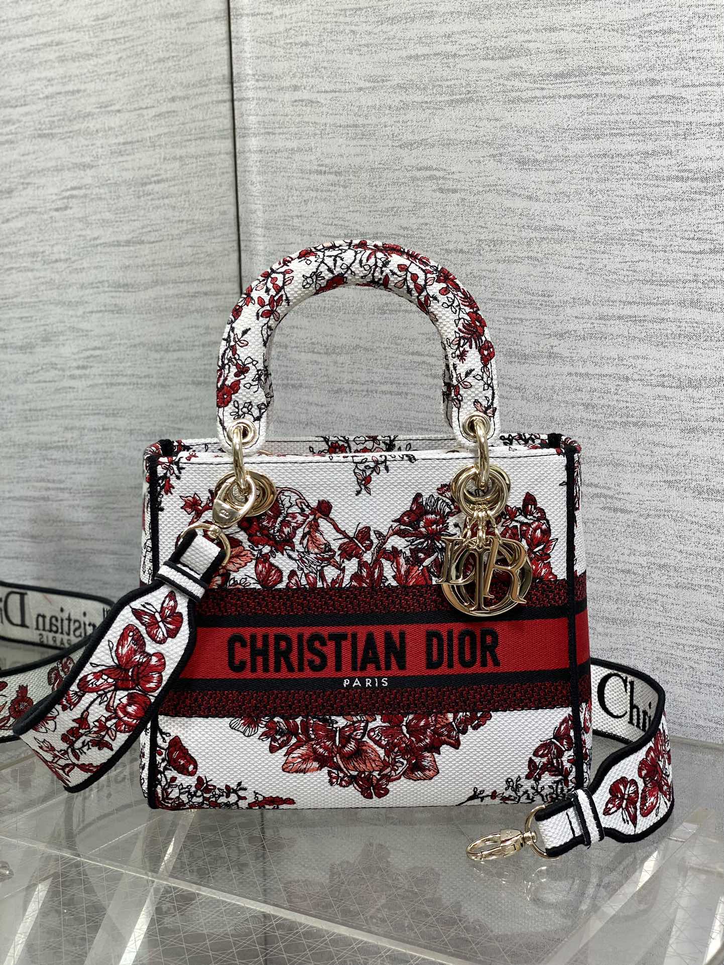 BAG-DIOR-W-LY-447