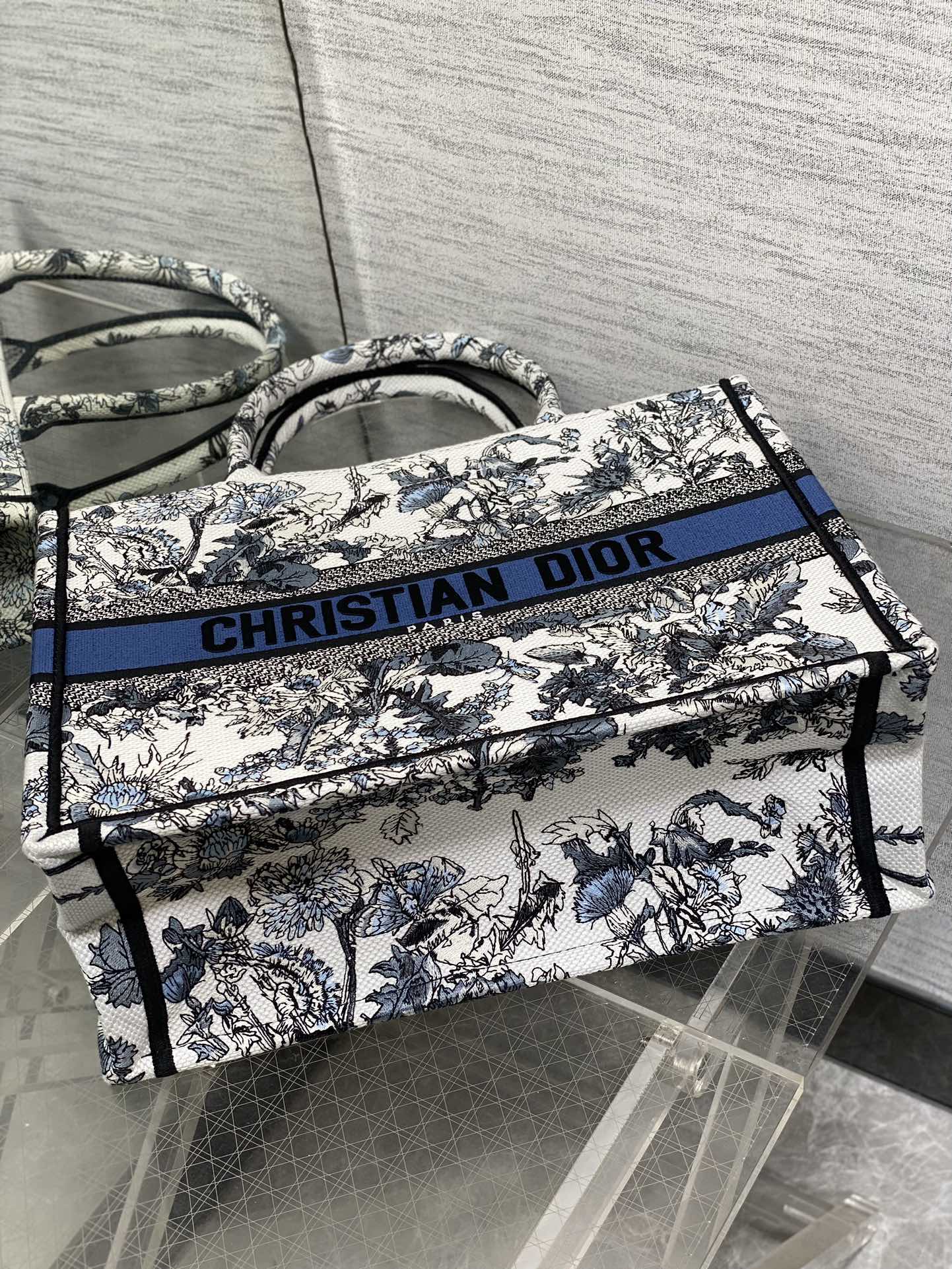 BAG-DIOR-W-LY-203