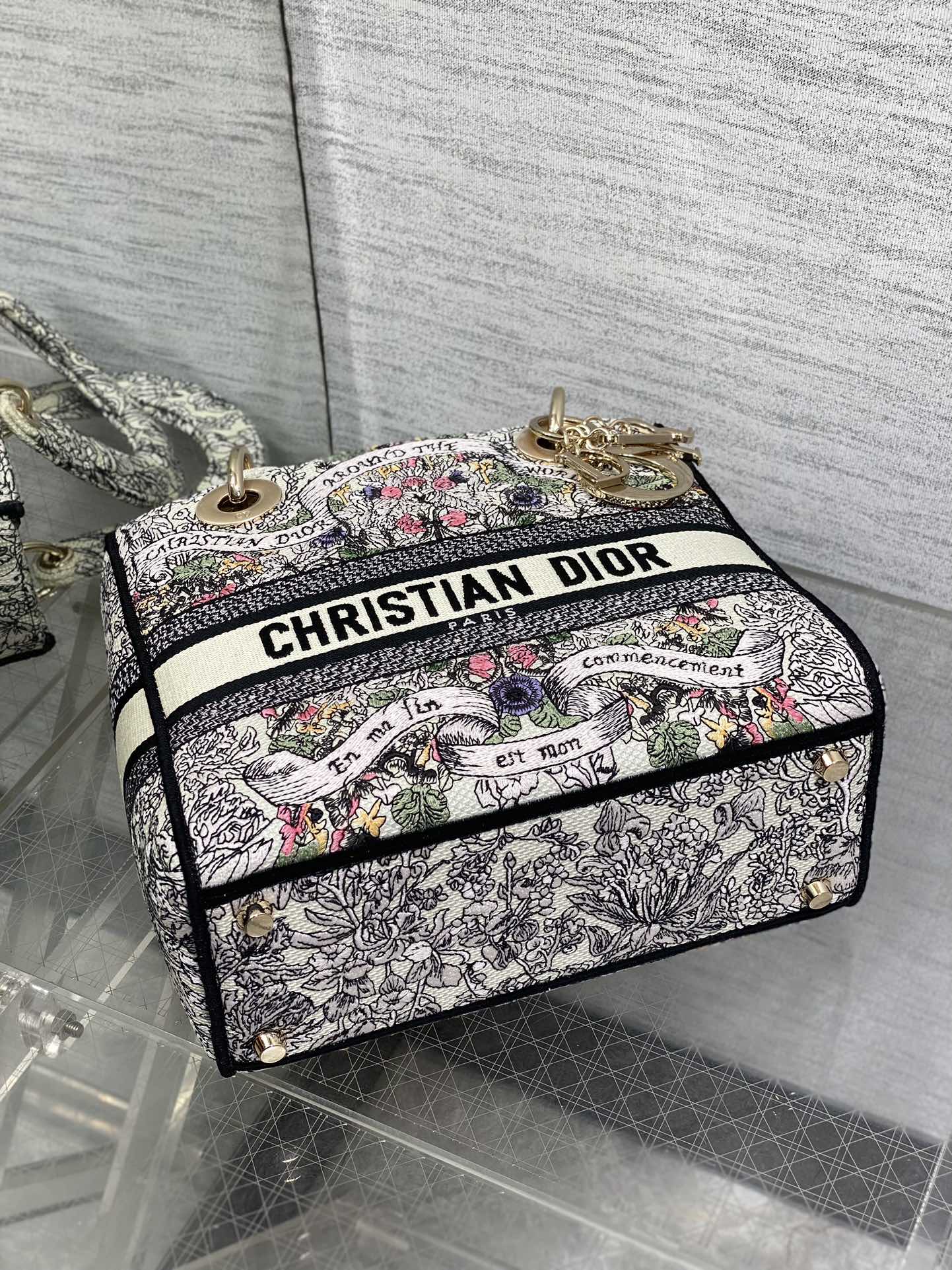 BAG-DIOR-W-LY-499