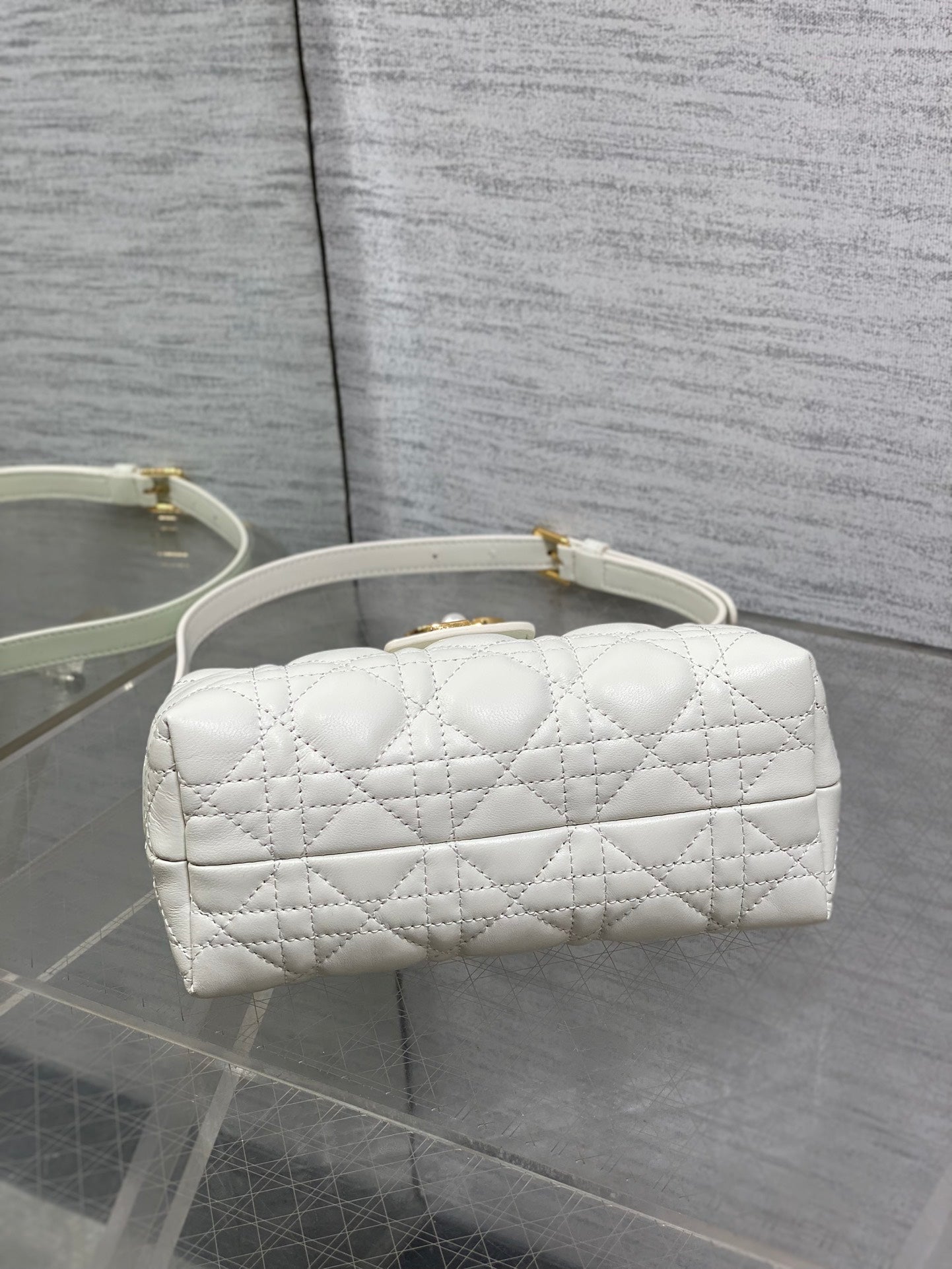 BAG-DIOR-W-LY-021