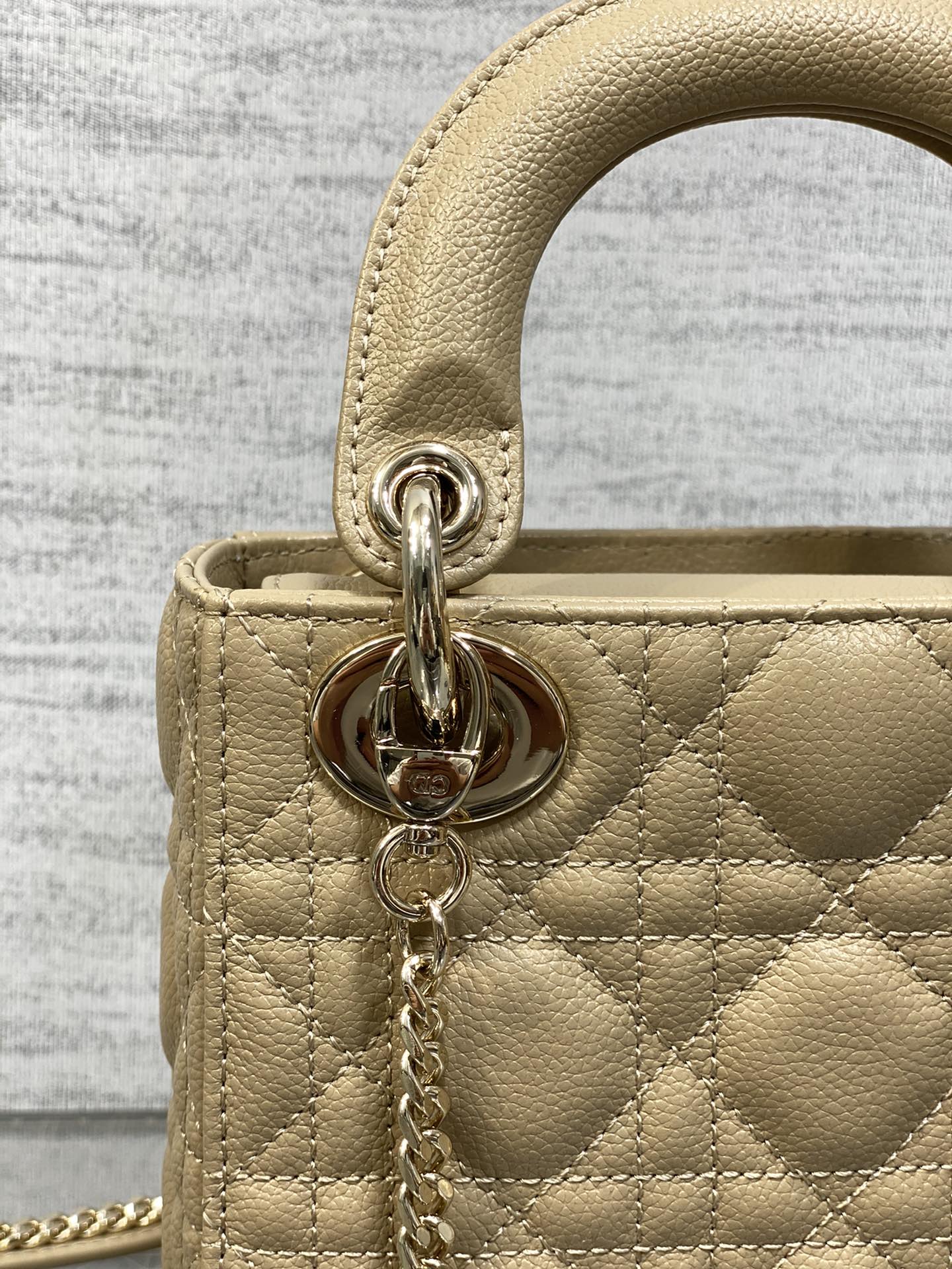 BAG-DIOR-W-LY-527