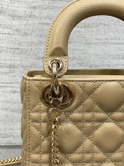 BAG-DIOR-W-LY-527