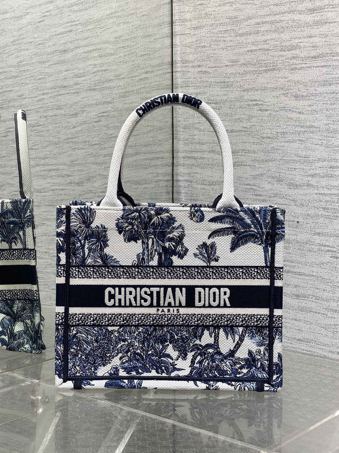BAG-DIOR-W-LY-938