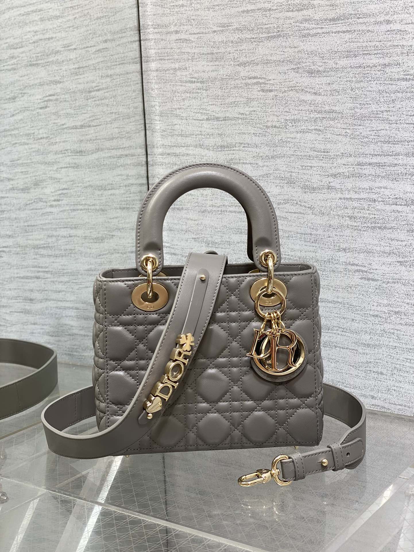 BAG-DIOR-W-LY-541