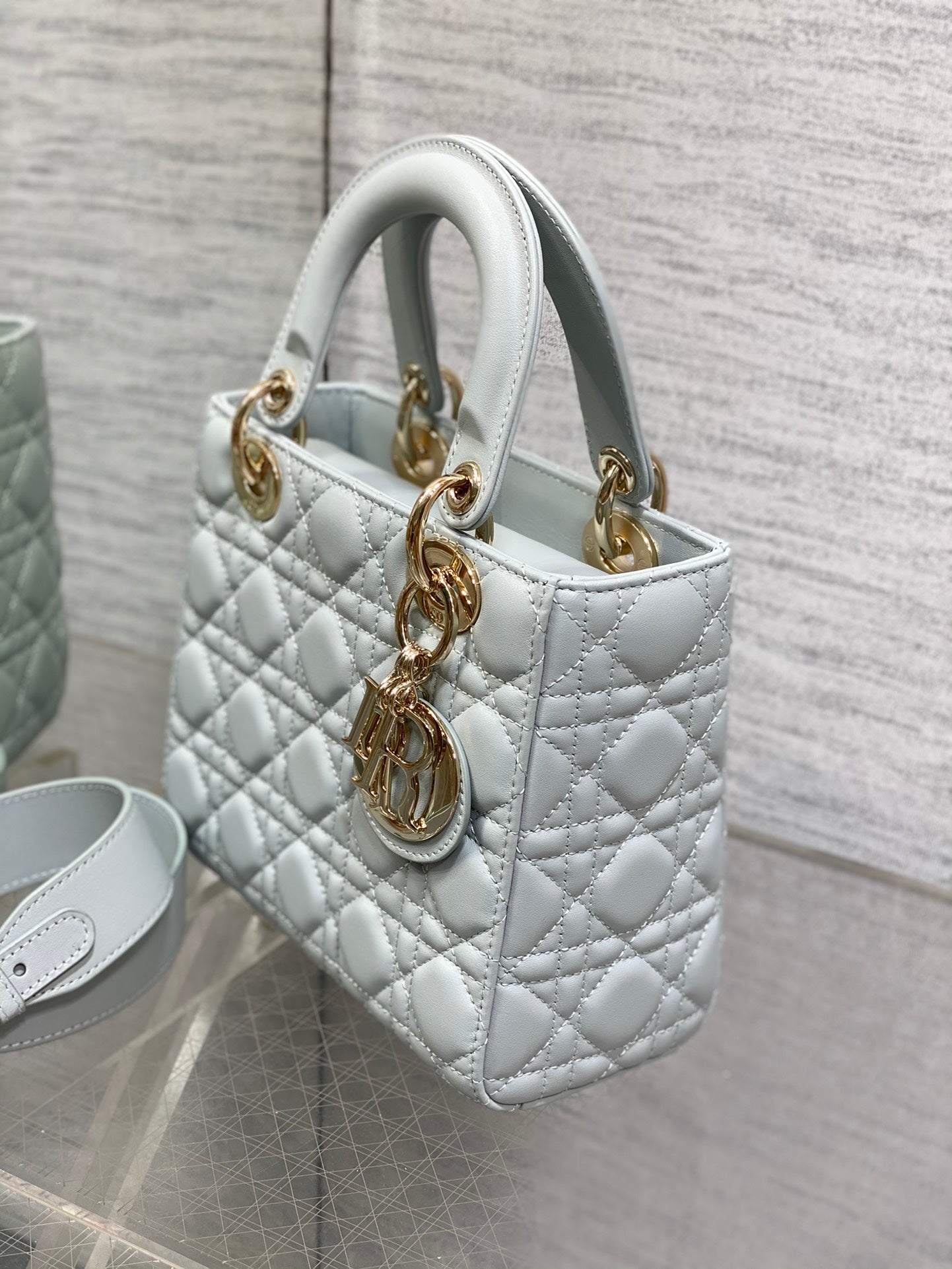 BAG-DIOR-W-LY-669