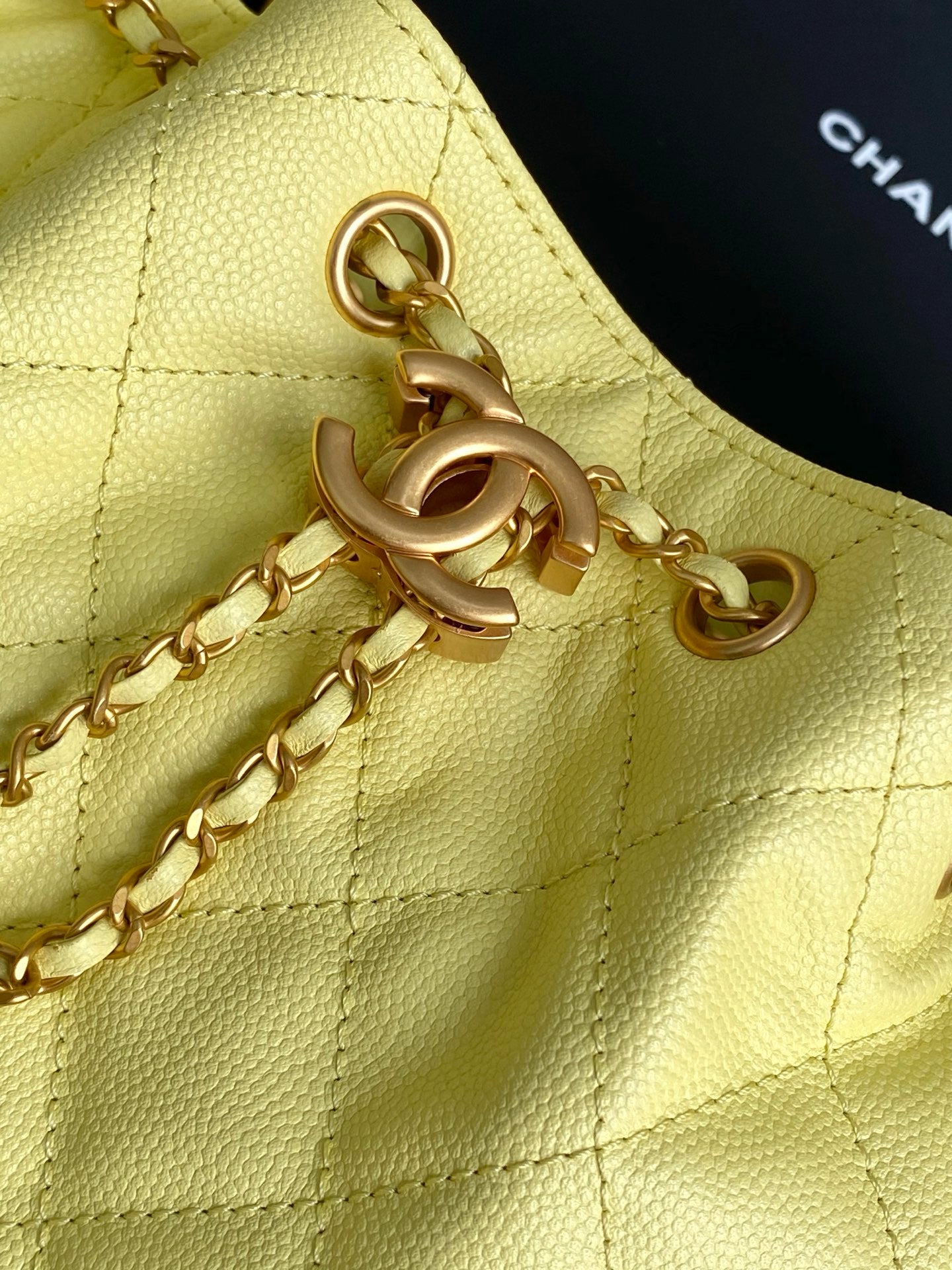 BAG-CHANEL-230