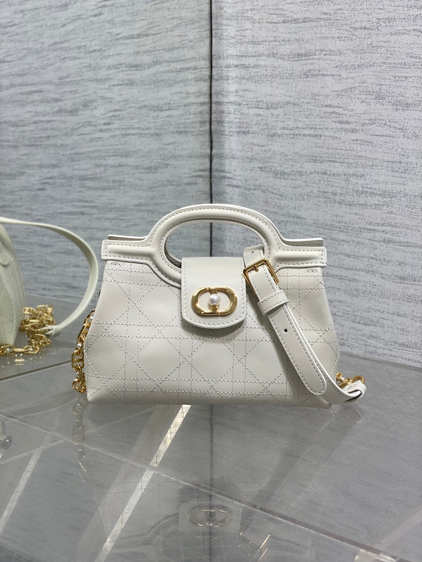 BAG-DIOR-W-LY-030