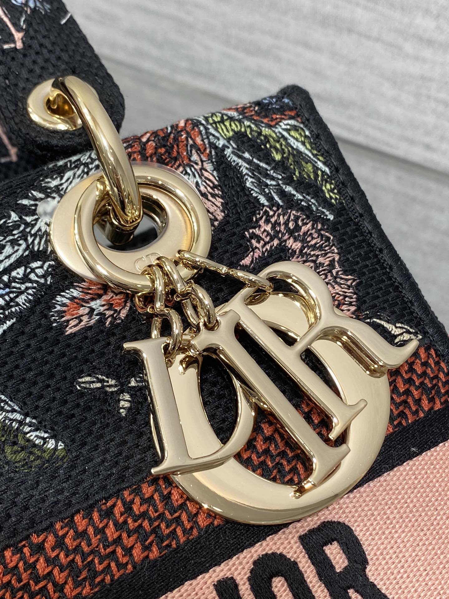 BAG-DIOR-W-LY-075