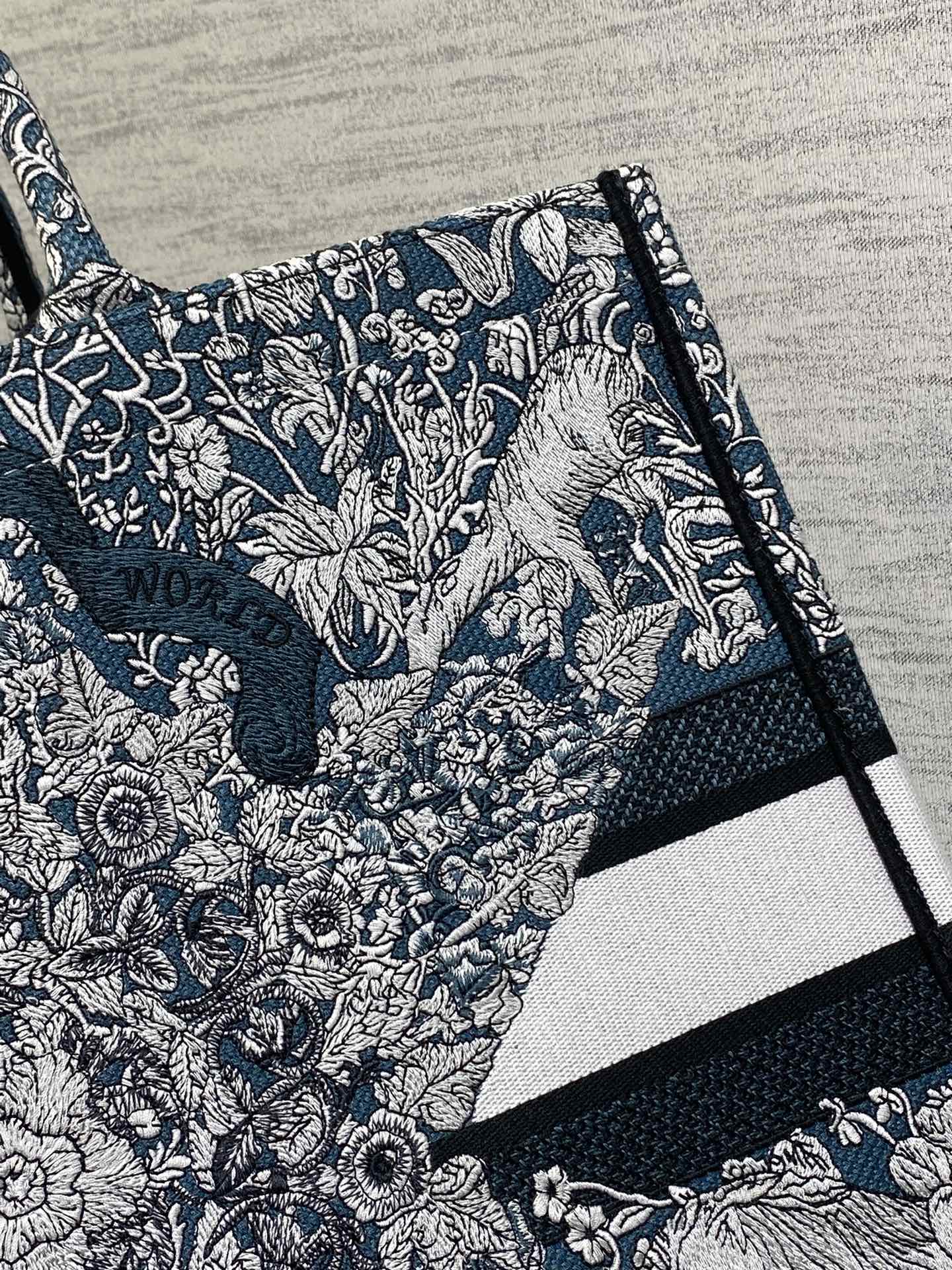 BAG-DIOR-W-LY-848
