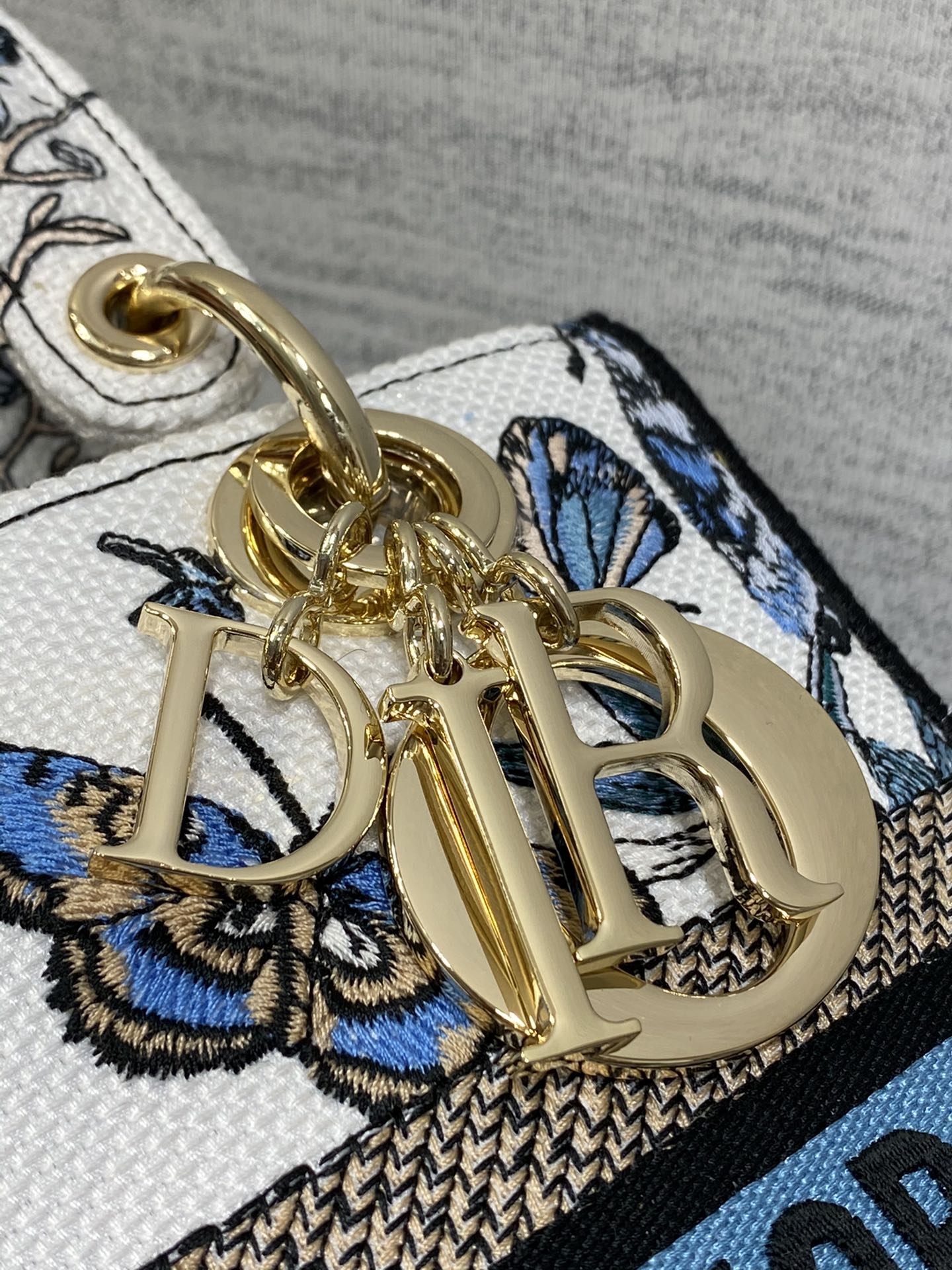 BAG-DIOR-W-LY-081